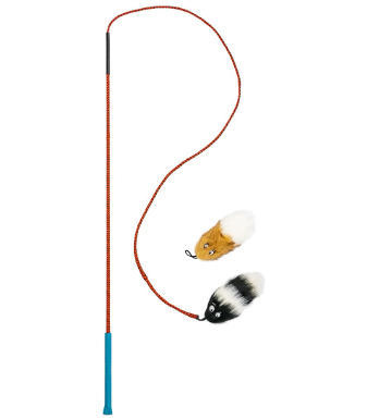 Exercise, enrichment and fun with a flirt pole. Ella's personal favourite activity. This is a great way to give your dog an outlet for predatory behaviour. 