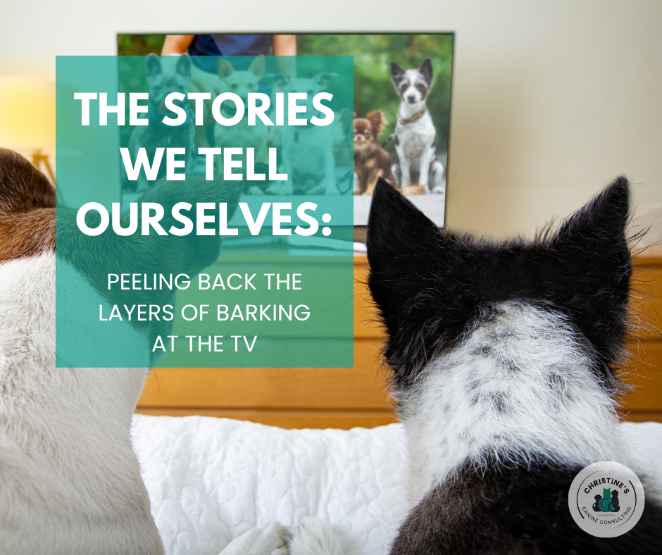 Tales of The TV