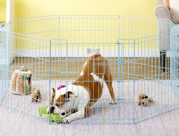 Puppy pens are a great investment. They help keep your puppy contained when you can't supervise them and while you're crate training. I use x-pens to block access to areas of my house. They come in handy protecting Christmas trees, electronics and ho