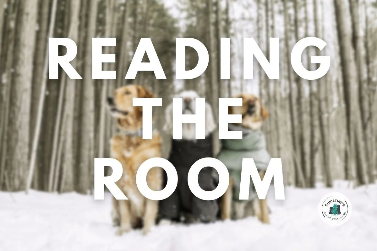 Reading The Room.jpg