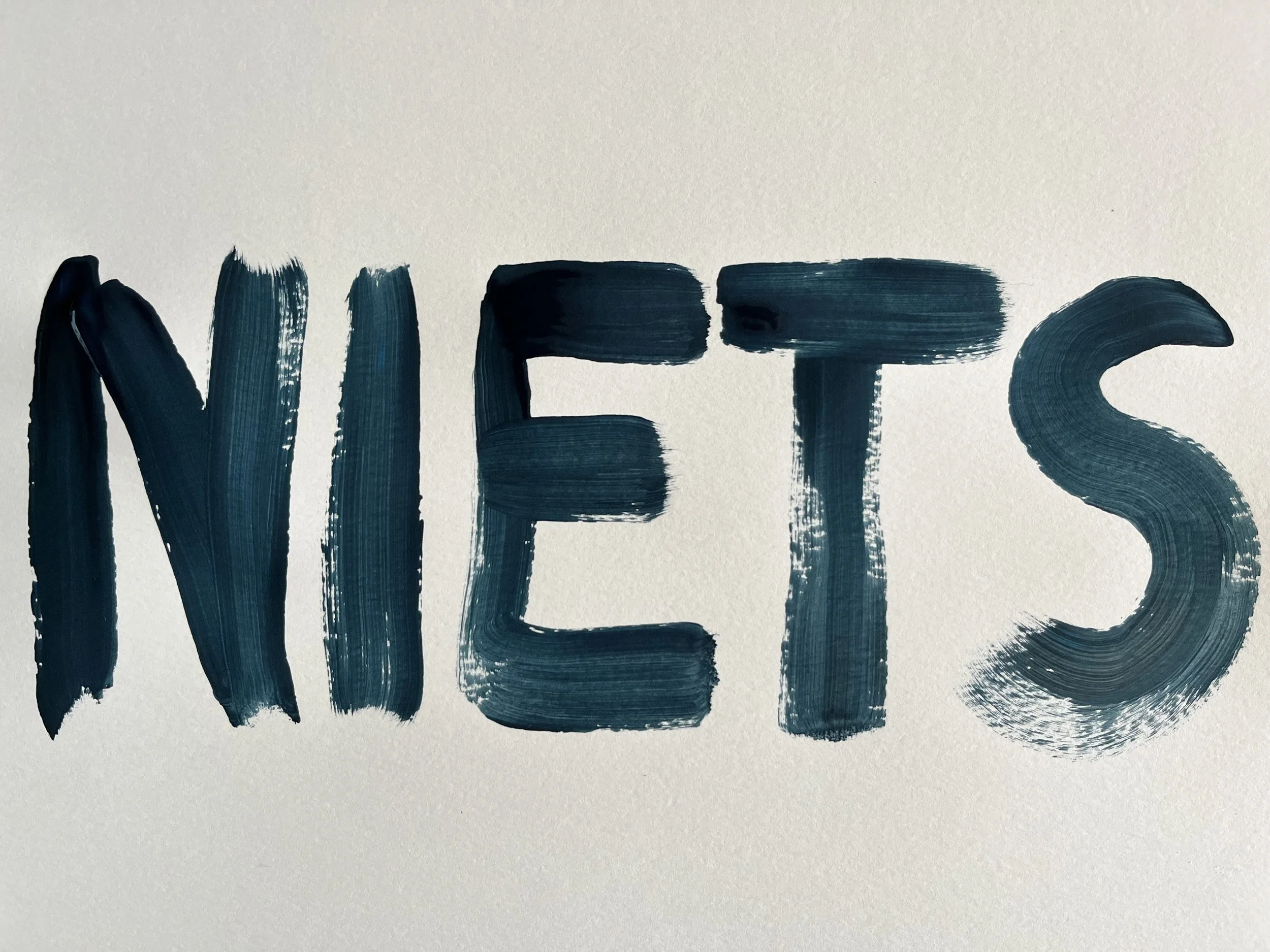 NIETS