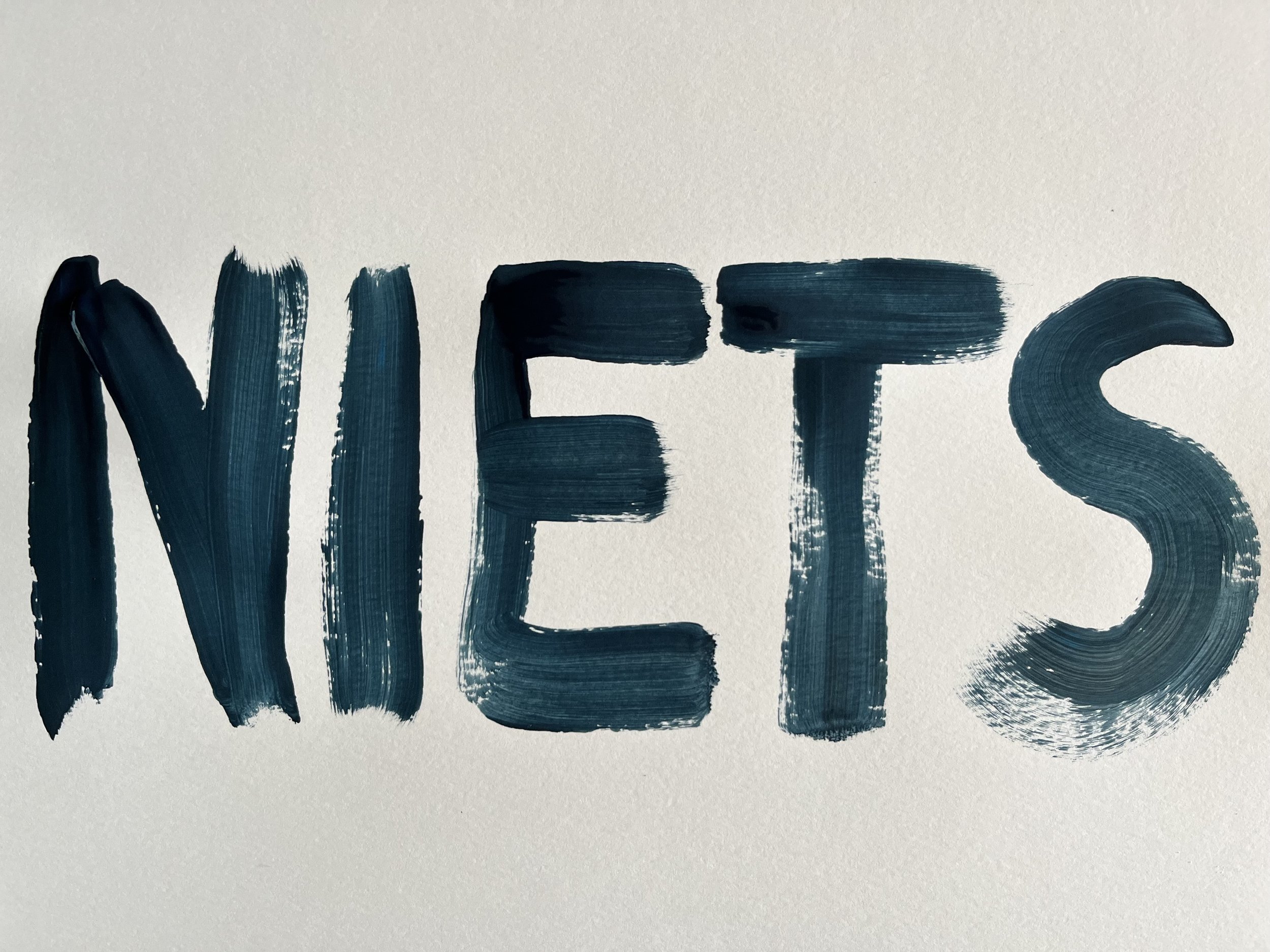 NIETS