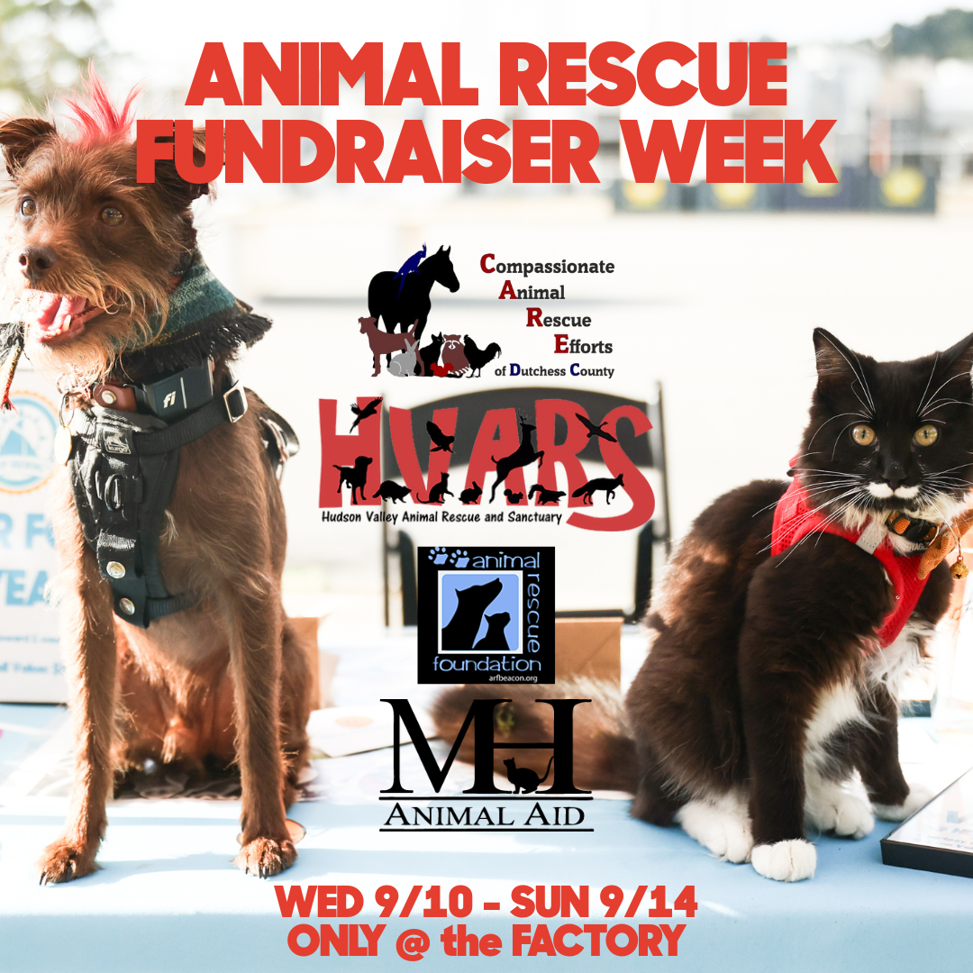 Animal Rescue Fundraiser Week