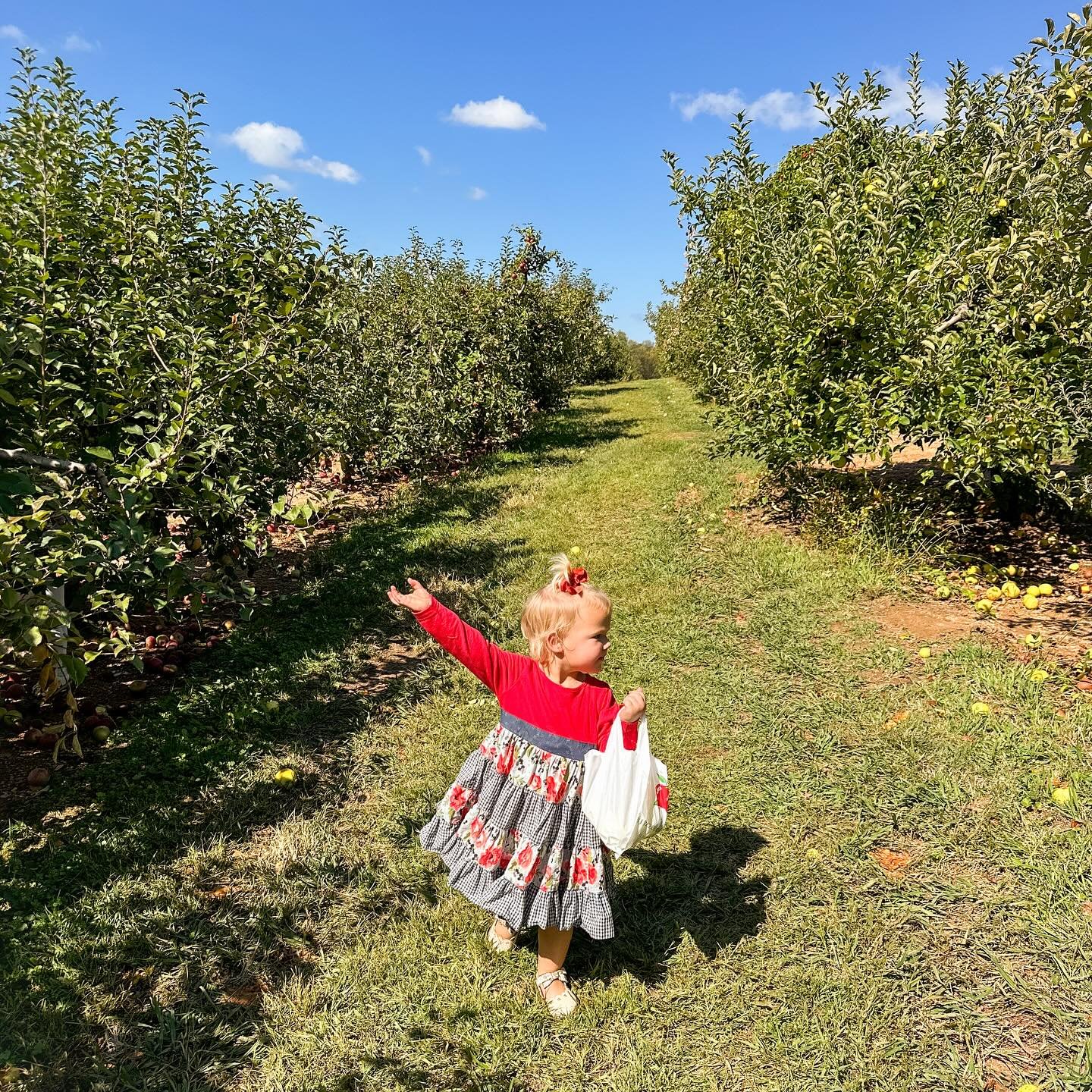 This is the story of a mama who had unrealistic expectations for her family&rsquo;s annual apple picking. She looked forward to this outing all week, imagining the kids petting farm animals, picking crisp apples from flourishing trees, gathering new 