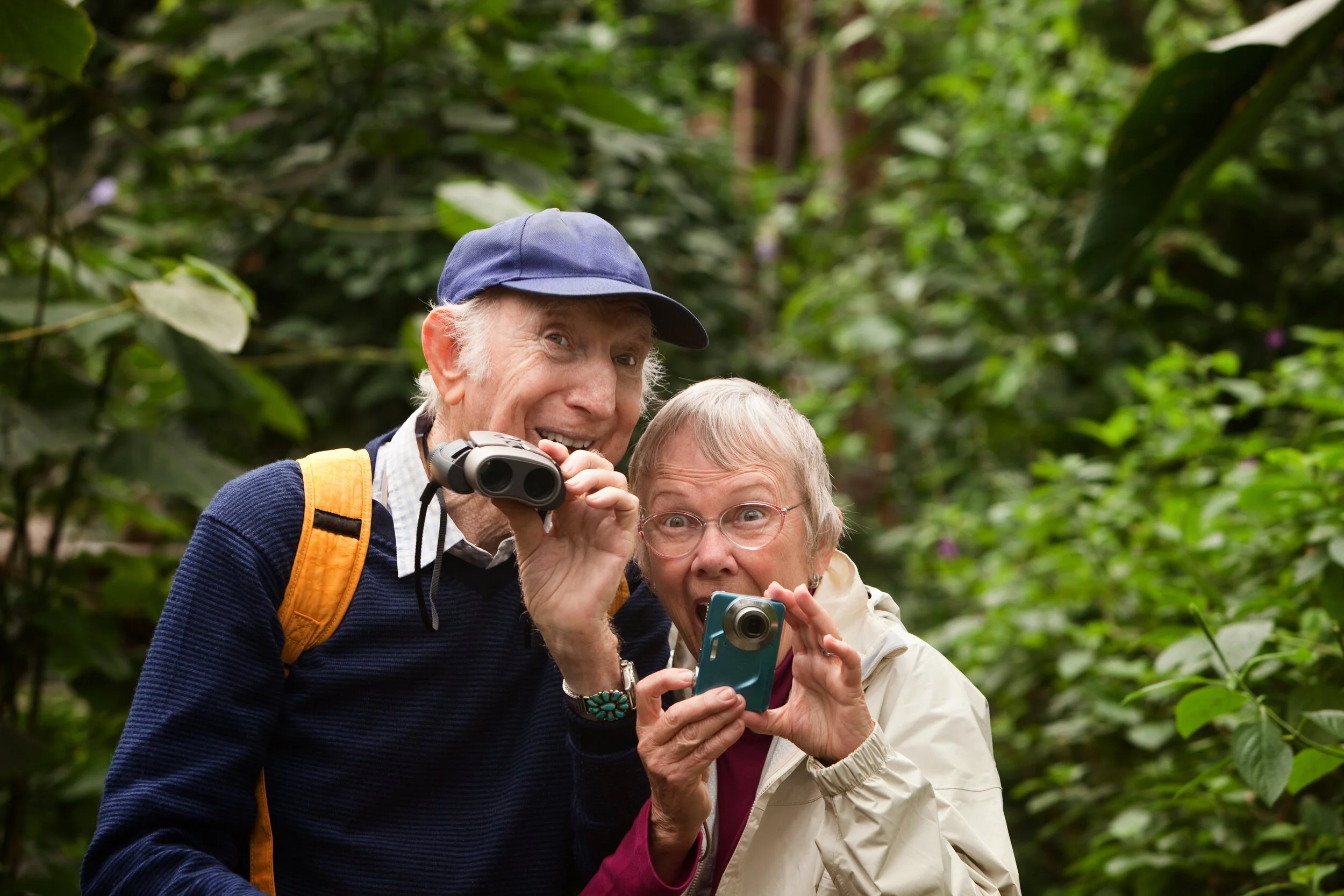 Activities for Seniors