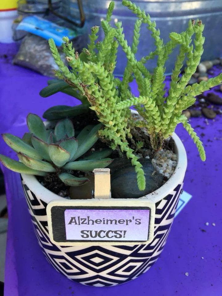 Alzheimer’s and Brain Awareness Month 