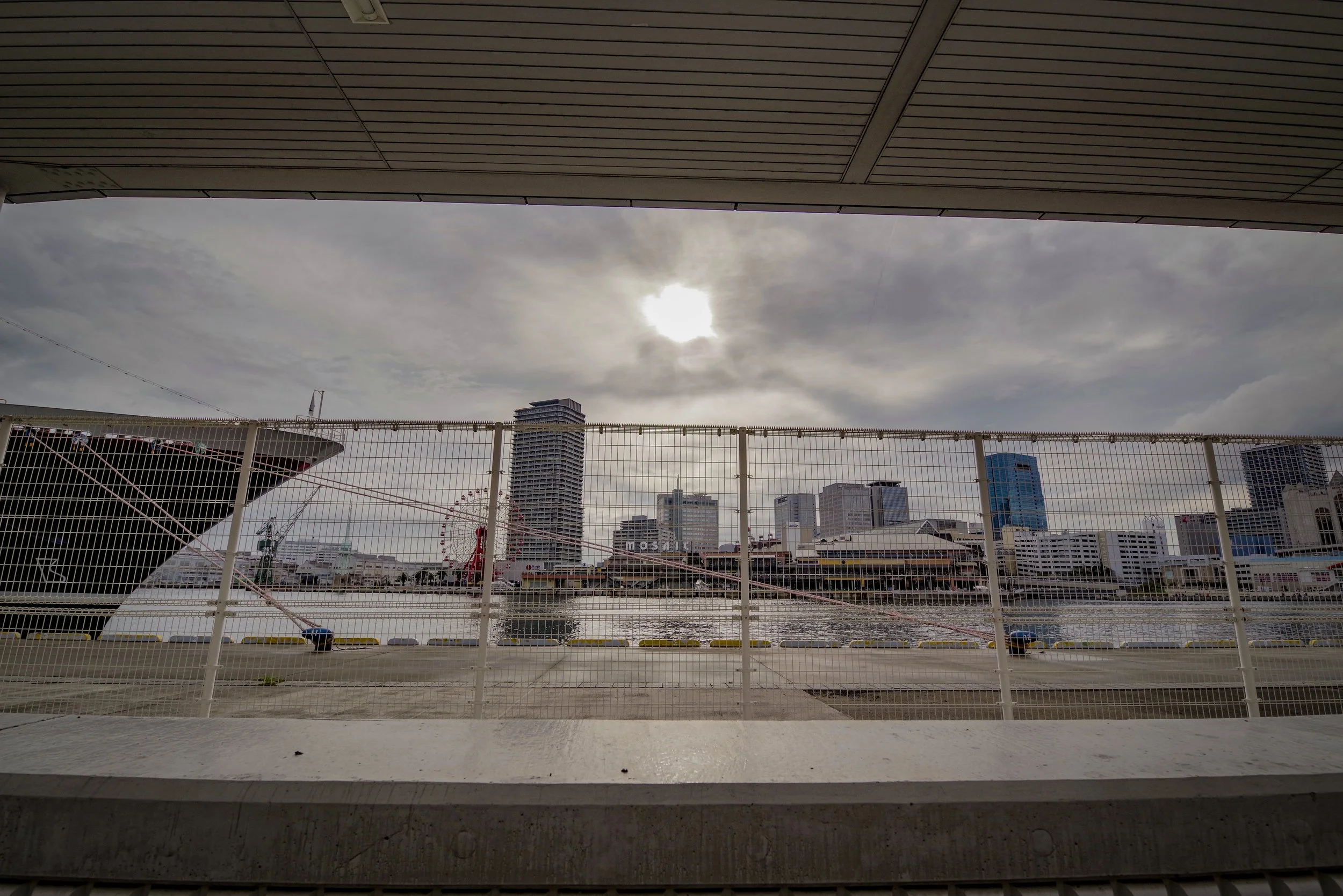 Kobe Harbo  Kobe 2025 Fam Miranda Carnessale2.jpg