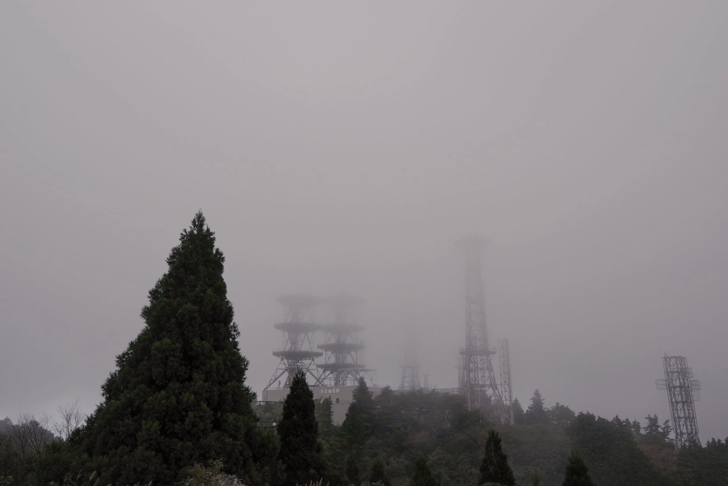 Rokko Shidare Observatory Kobe 2025 Fam Miranda Carnessale6.jpg
