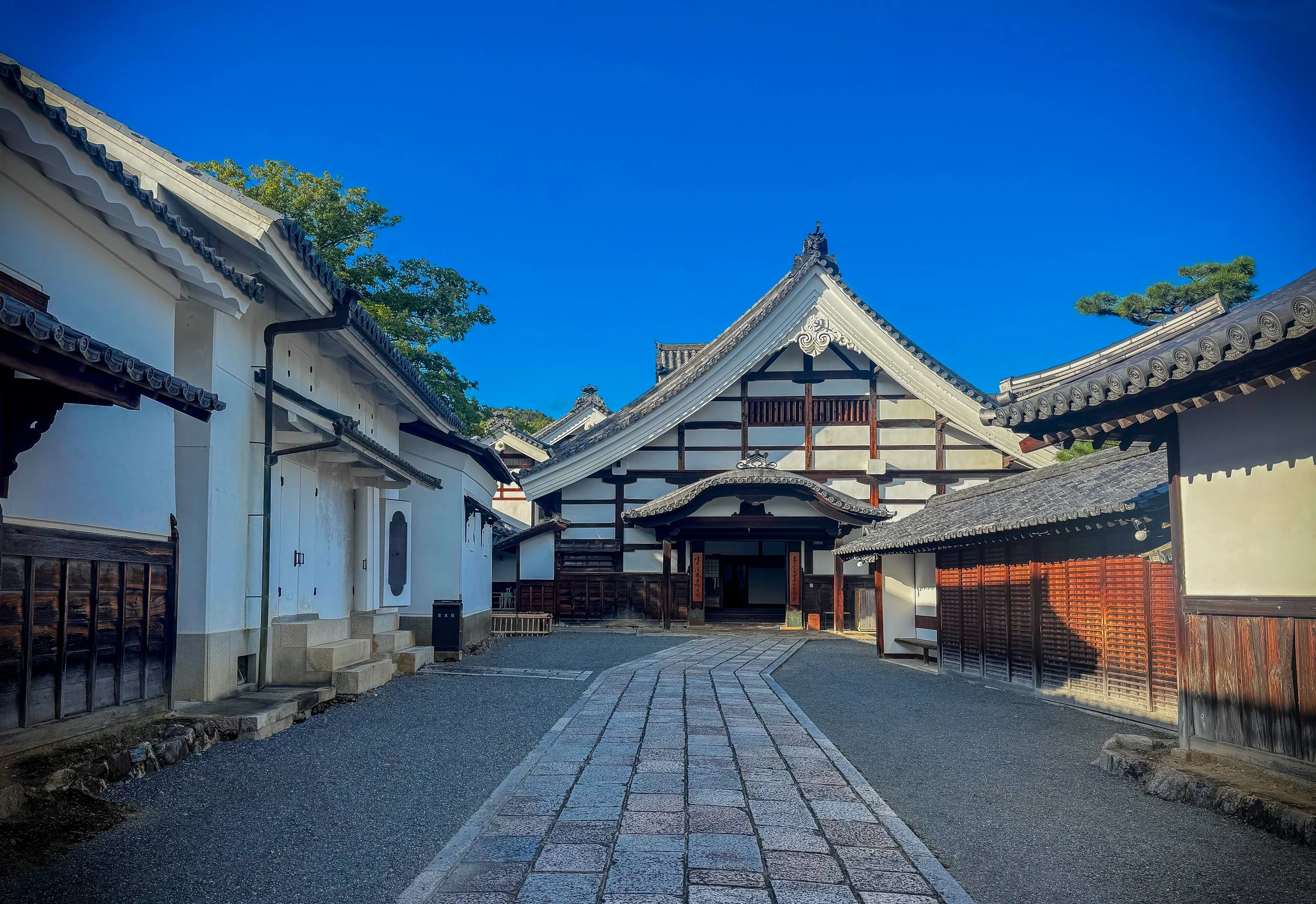 Daikaku-ji Temple Kyoto 2025 Fam Miranda Carnessale1.jpg