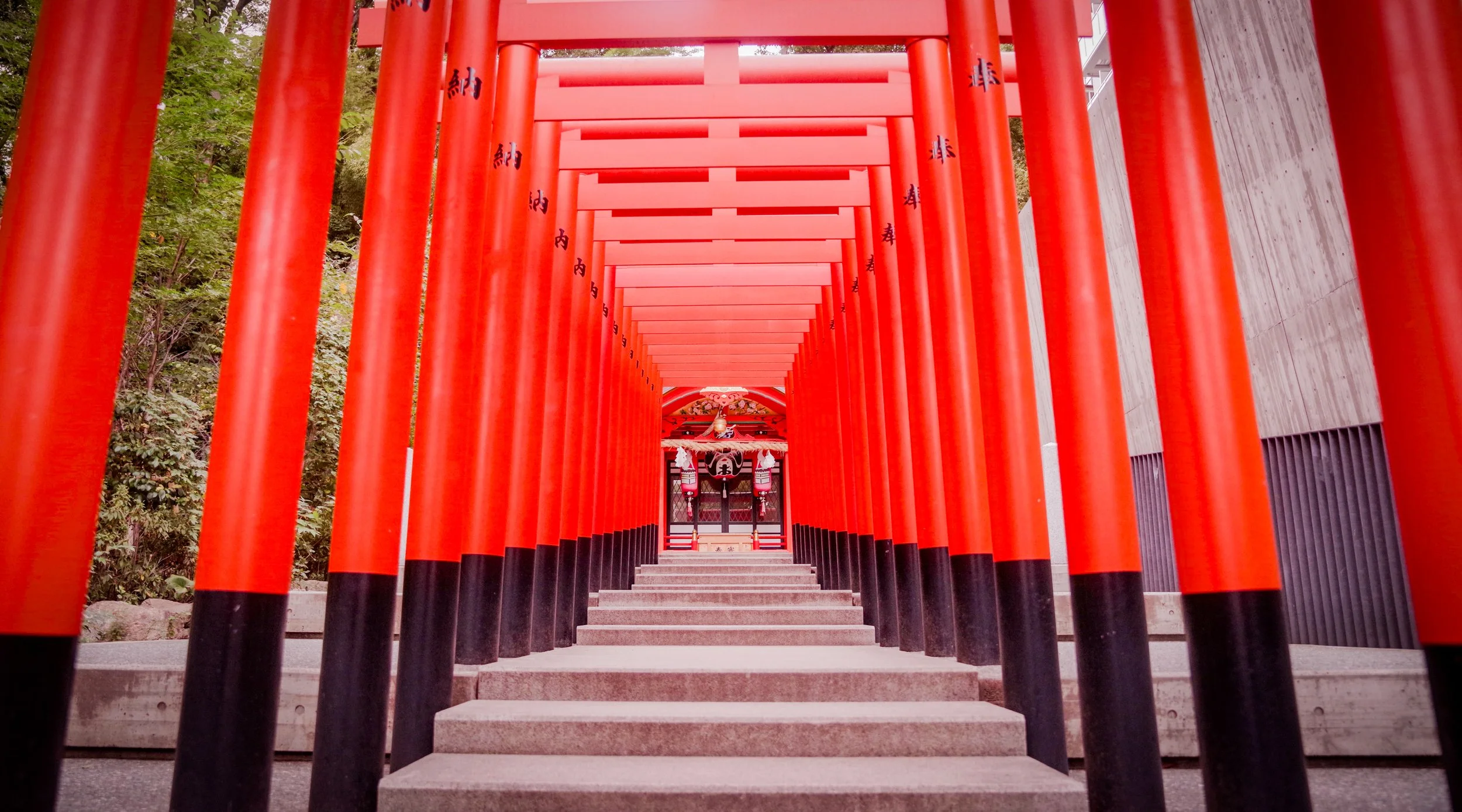 Ikuta Jinja Shrine  Kobe 2025 Fam Miranda Carnessale4.jpg