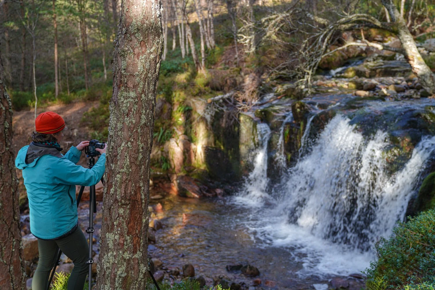 tutor, tour, workshop.jpg