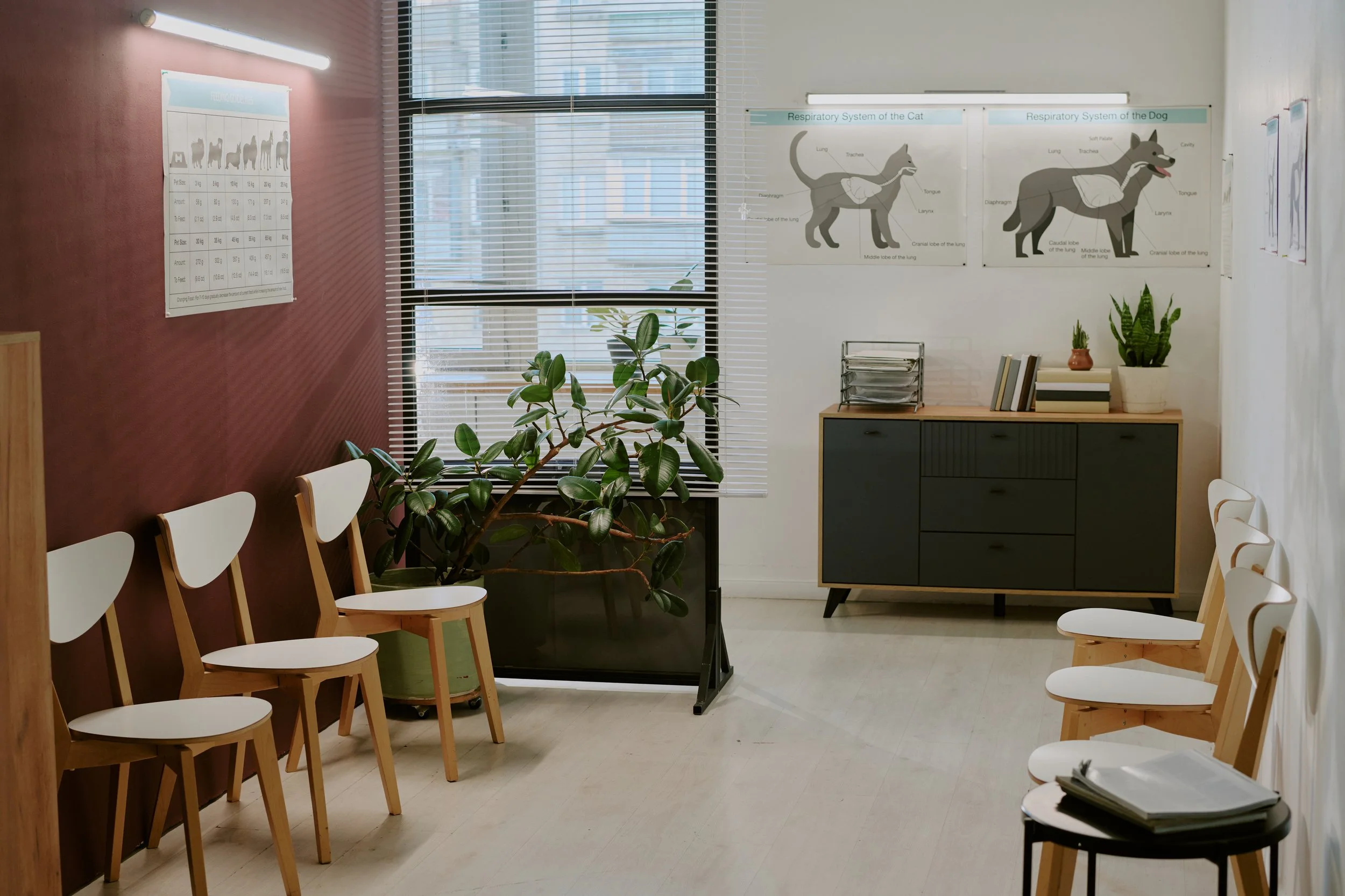 Private vs Corporate Veterinary Hospitals