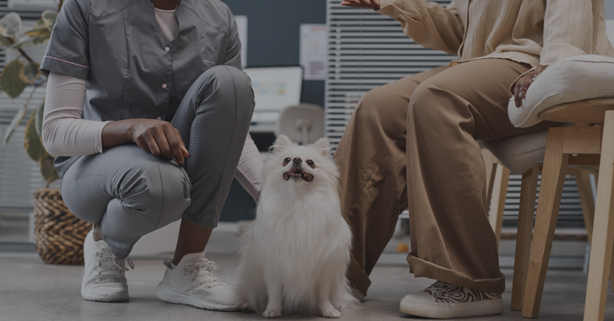 Veterinary Medicine Updates, Key Trends, Challenges, and Innovations