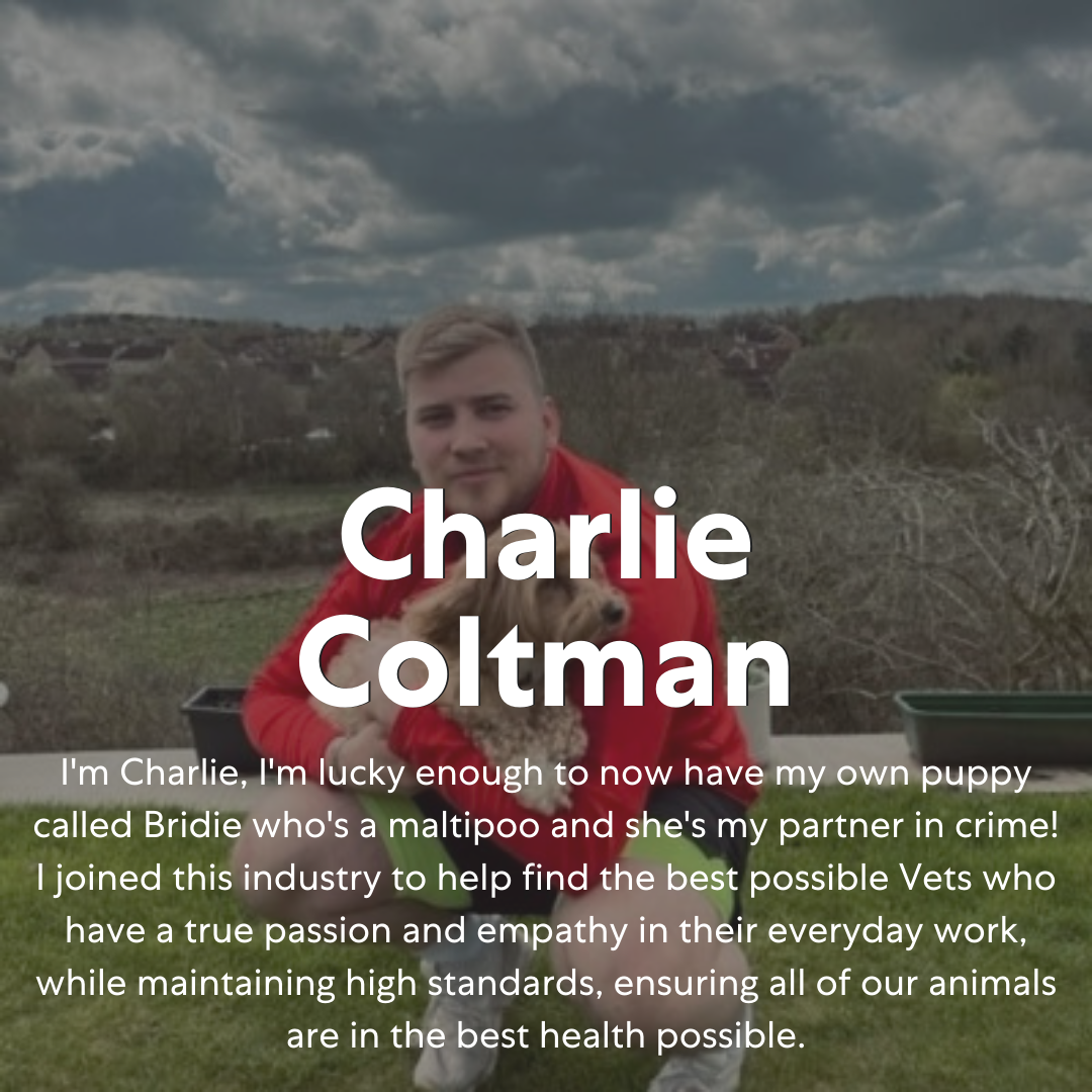 Charlie Coltman Team Picture Recruiter