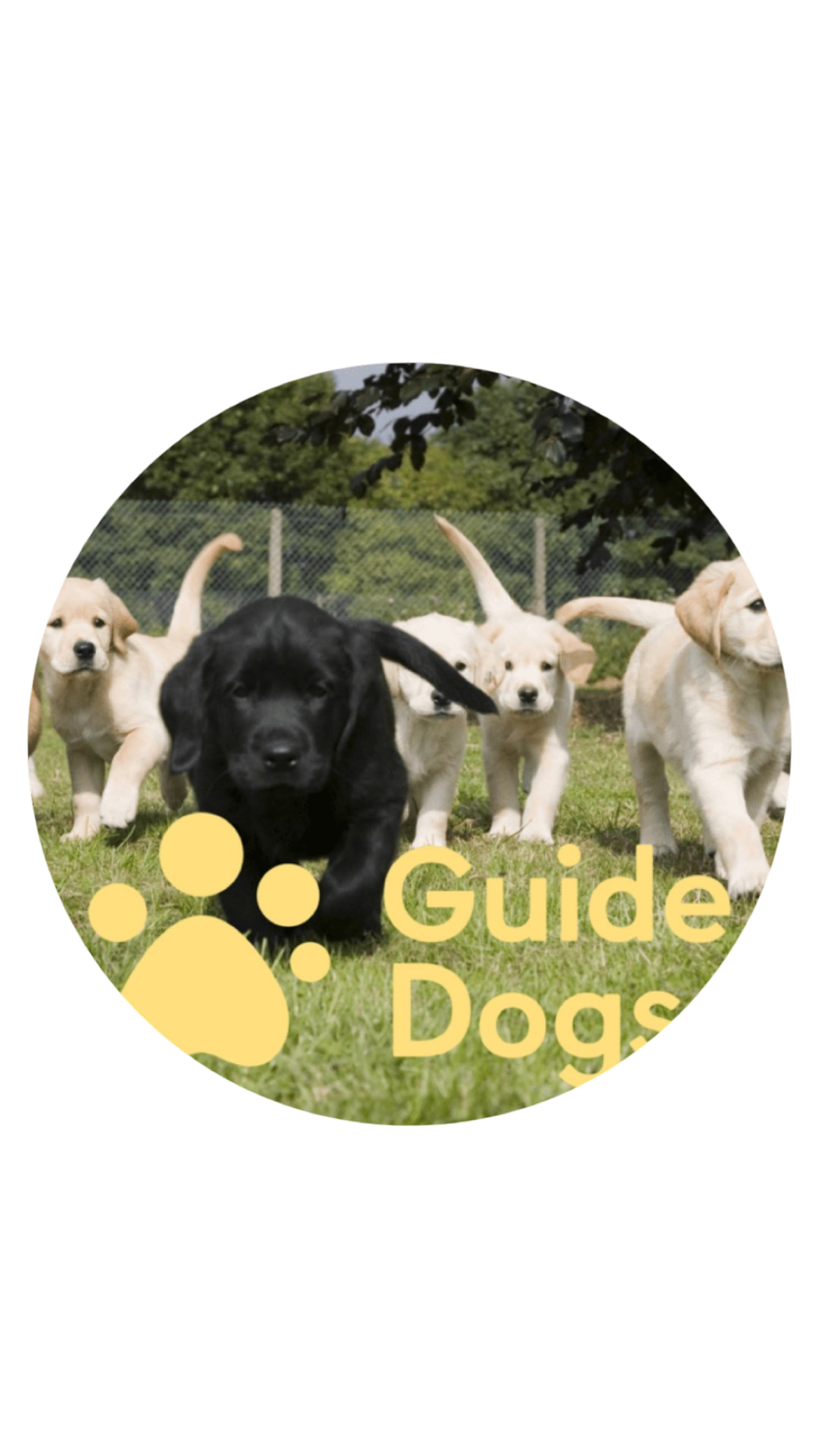 Guide Dogs Charity Logo