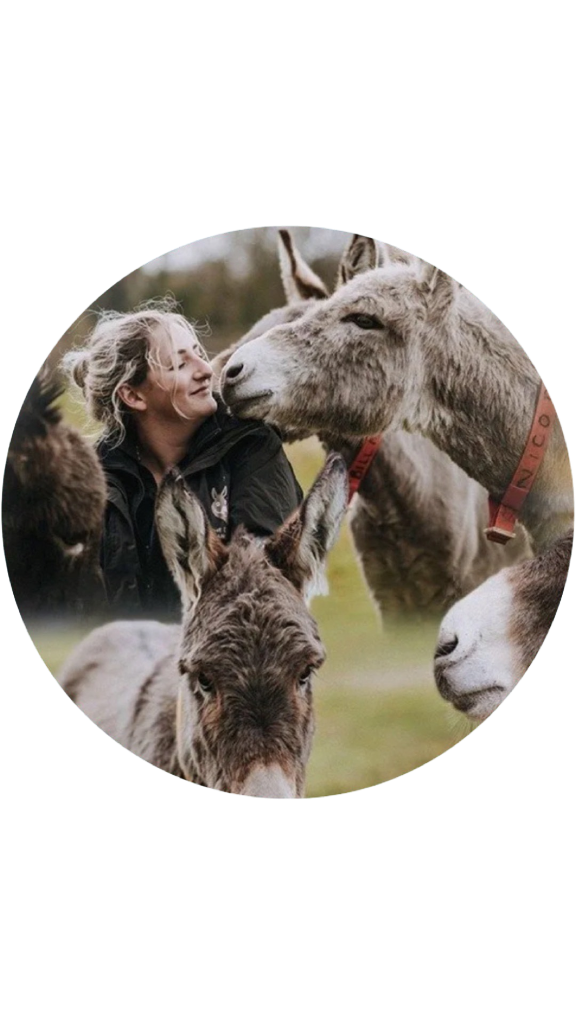 The Donkey Sanctuary Charity Logo