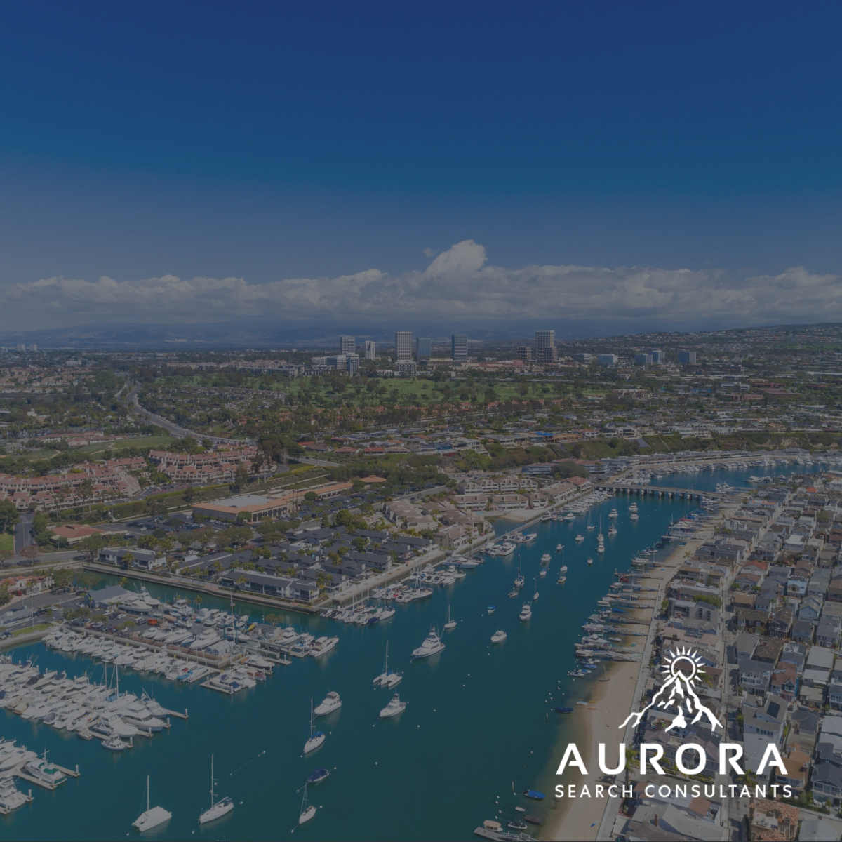Veterinary Surgeon Job Tustin California Near
