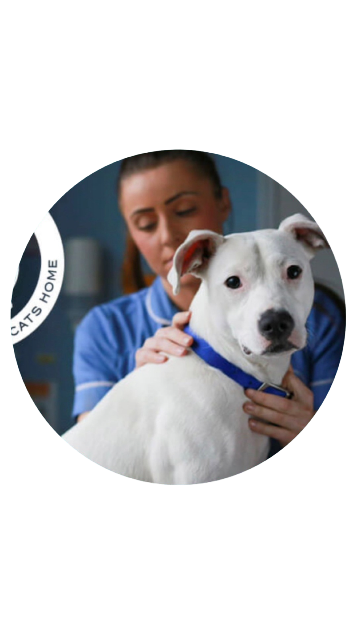 Battersea Dogs and Cats Home Charity Logo