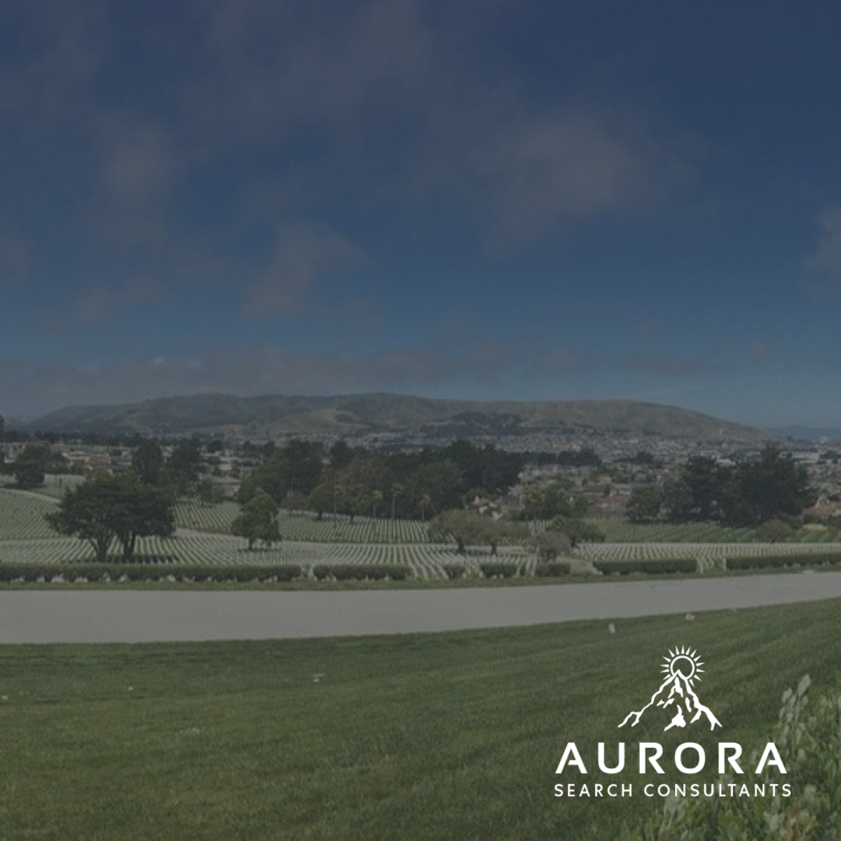 San Bruno, California, Veterinary Careers, Near San Bruno