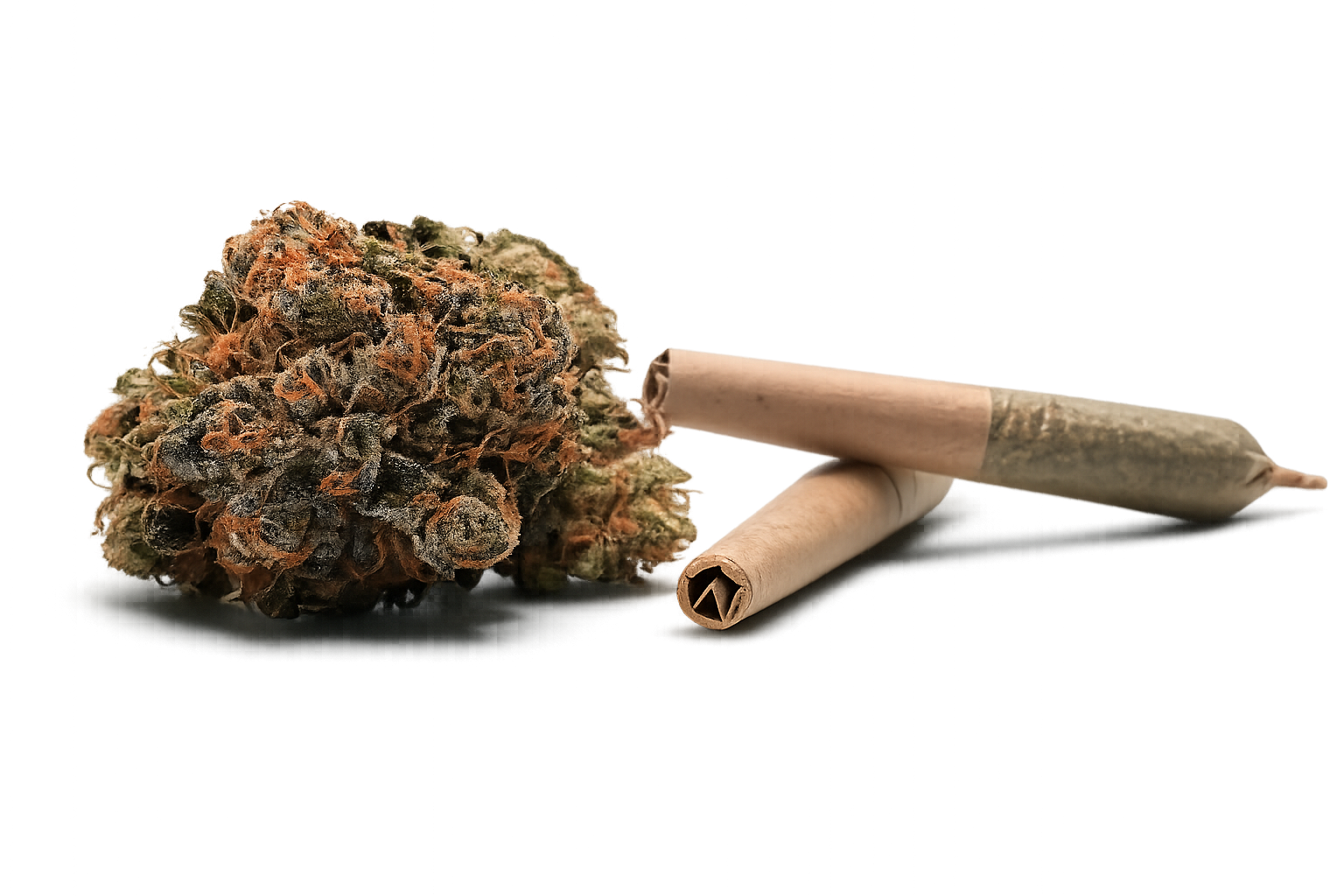 marijuana evidence related to Utah drug possession and drug trafficking criminal charges