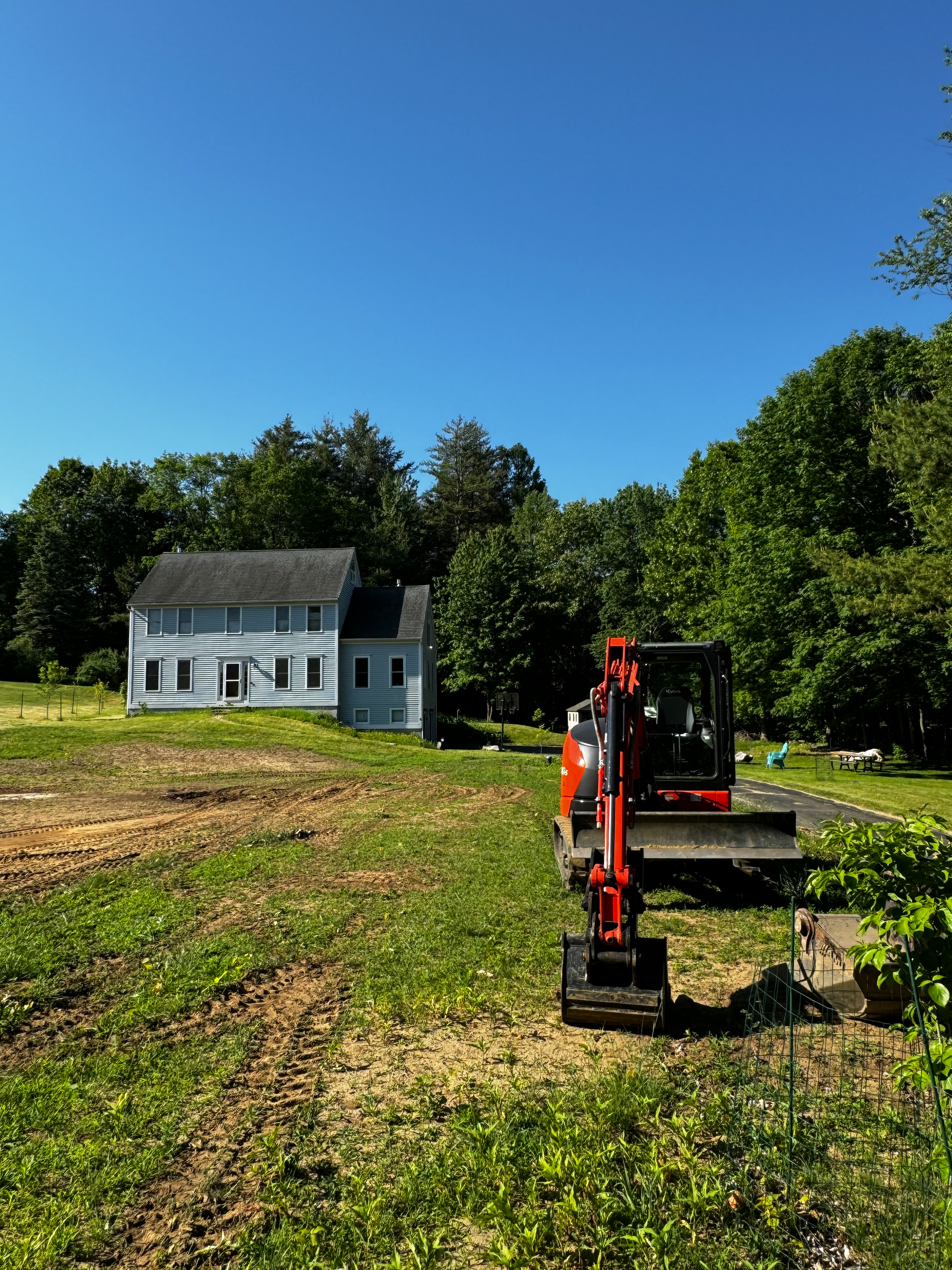 Yard Renovation (Before)