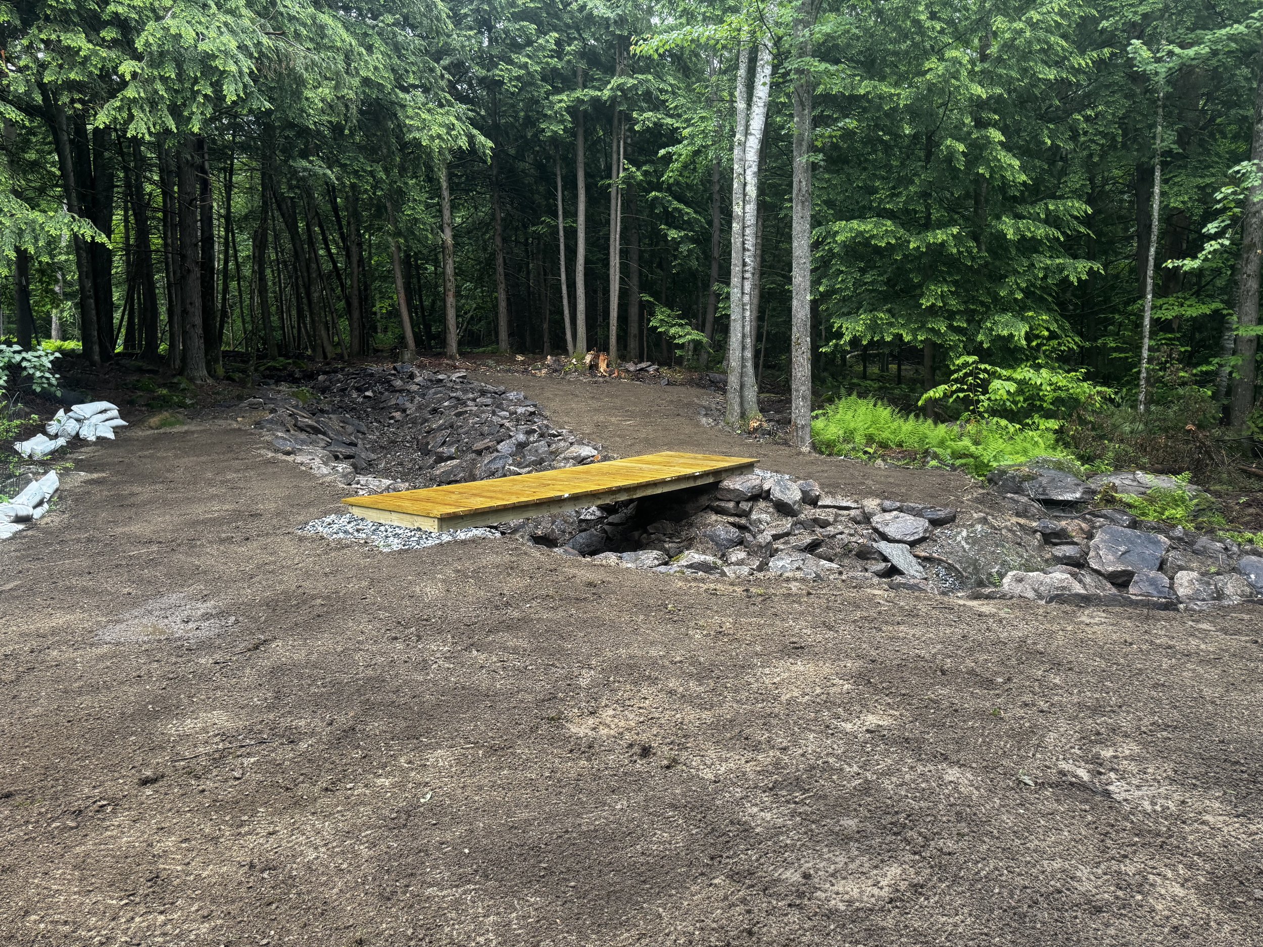 Swale Correction and Erosion Control