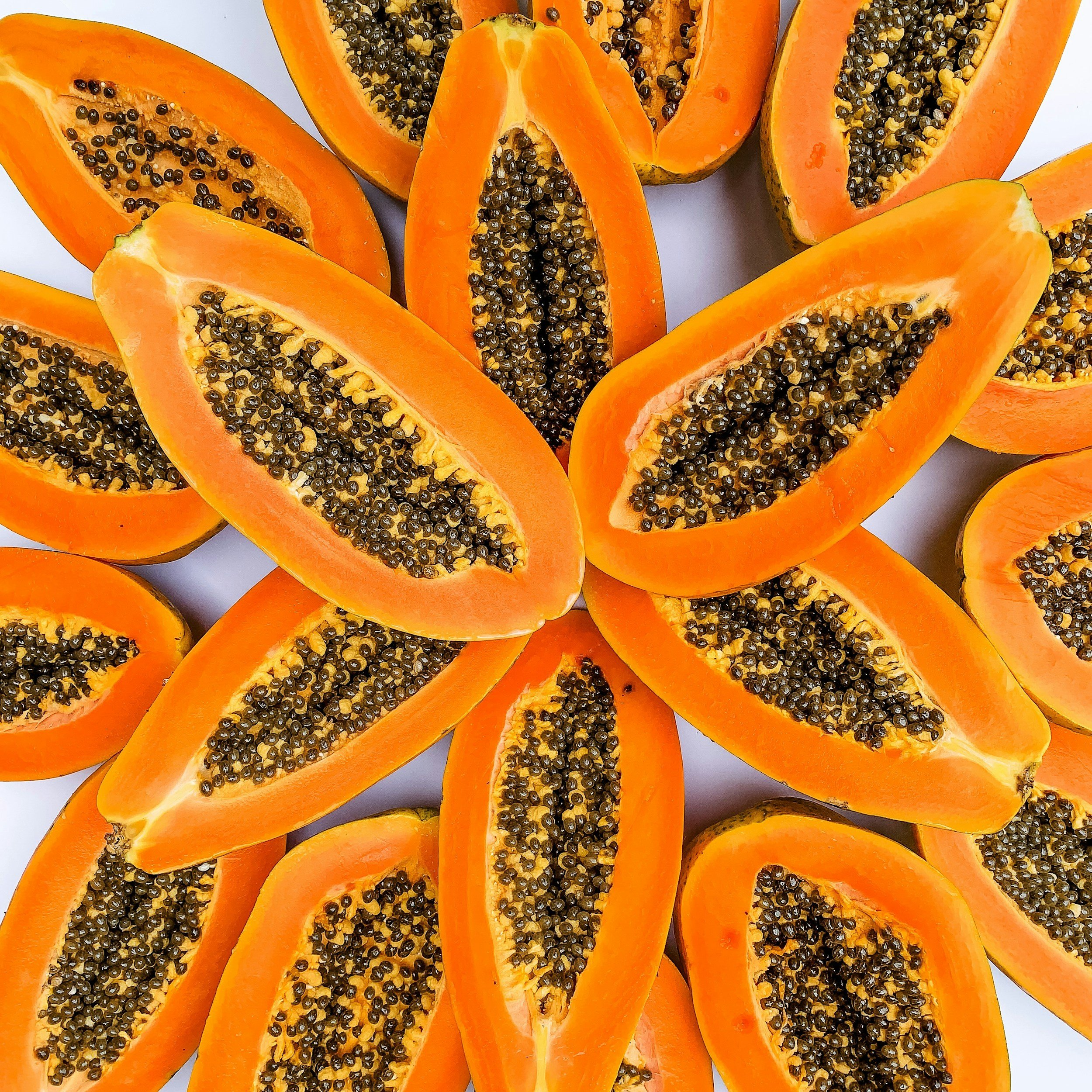Growing papaya: a tropical delight