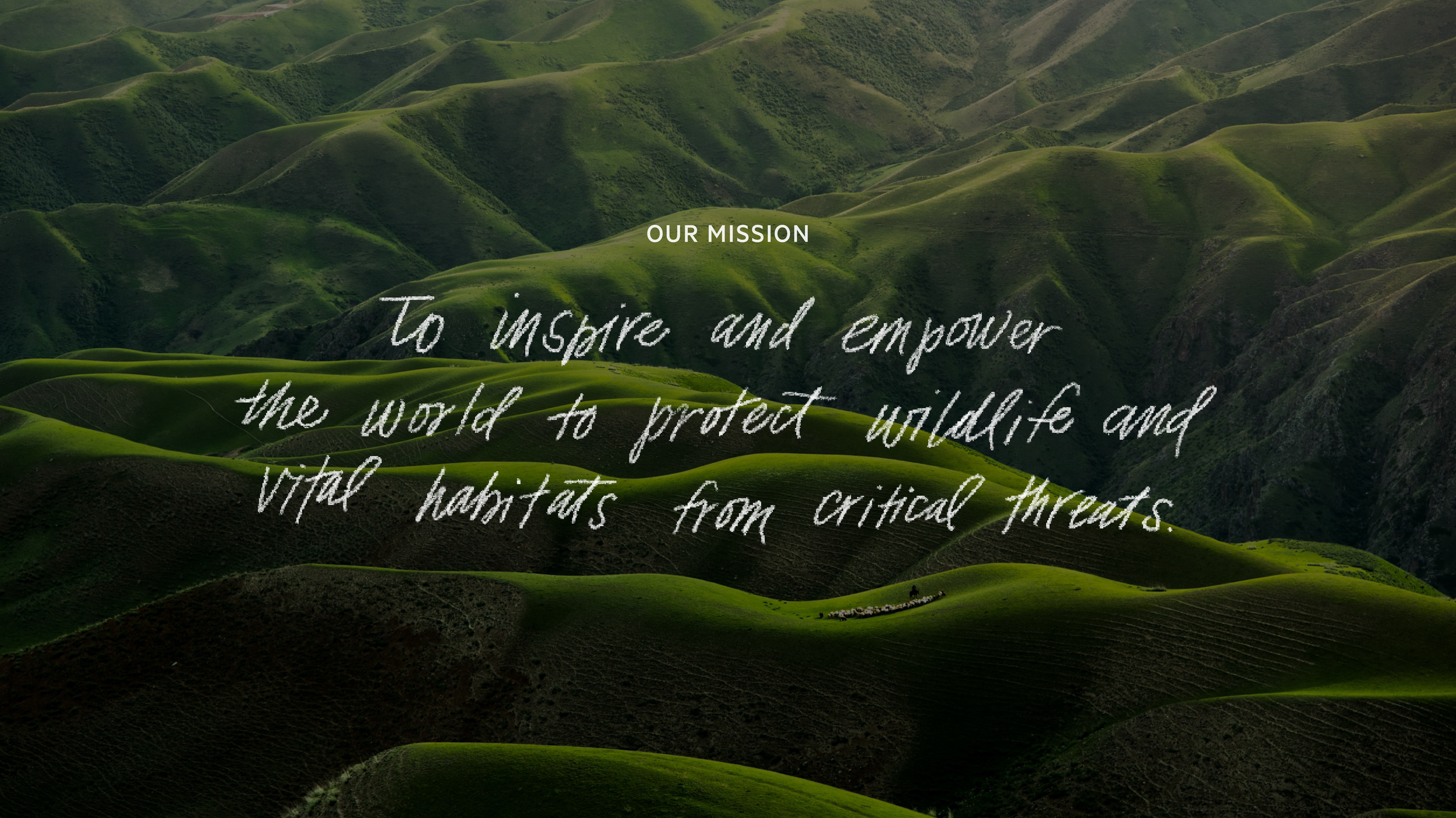 WildAid Impact Report 2023 LC-Recommended2.png
