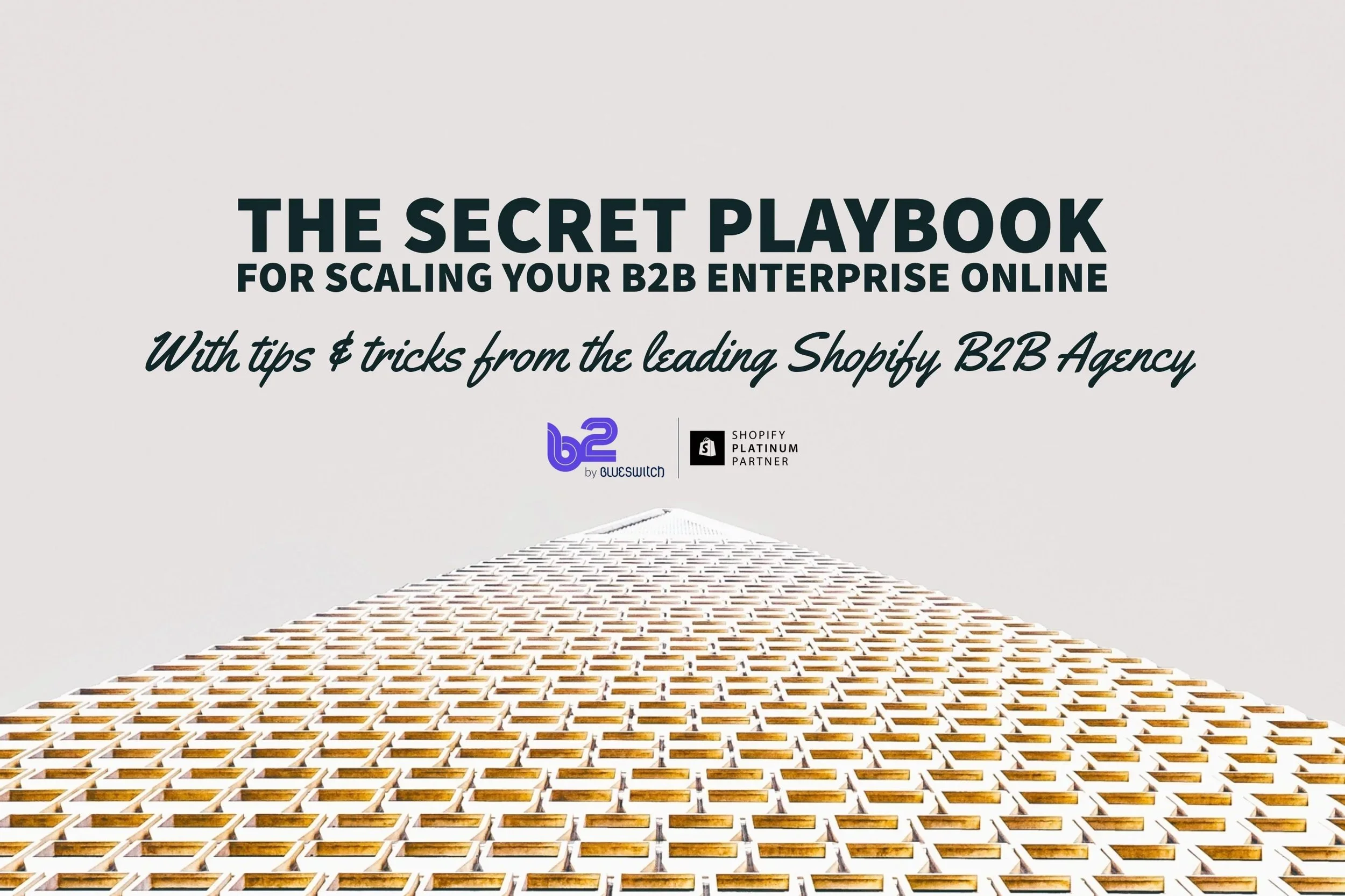 The Secret Playbook for Scaling Your B2B Enterprise Online