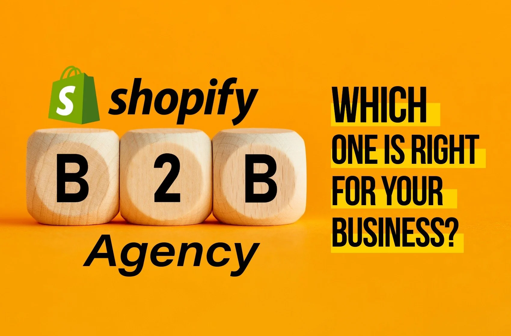 10+ Top-Rated Shopify B2B Agencies for Enterprise Commerce