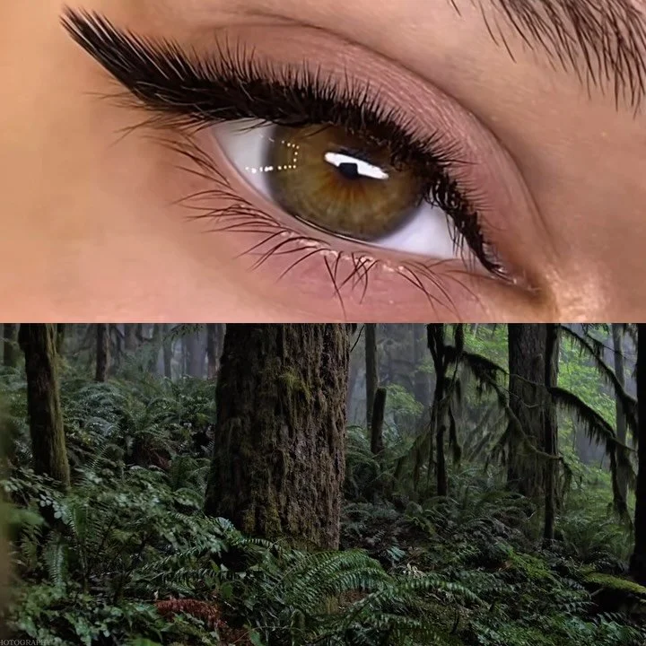 ✨Earth through the eyes&hellip;🌲⏩
My beautiful client's eyes💚

#KoreanLashLift #LashLiftMiami #NOEMI #HealthyLashes #BeautyExpert #LashLiftDifference #PoshFaceBeauty #LashArtistMiami #GentleLashLift #LashEducation#NaturalBeauty #WakeUpReady #MiamiL