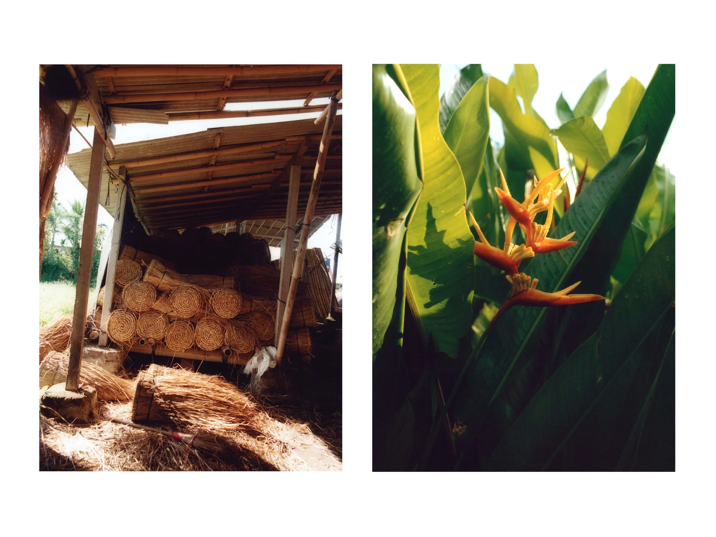 SOMETHING CURATED Bali