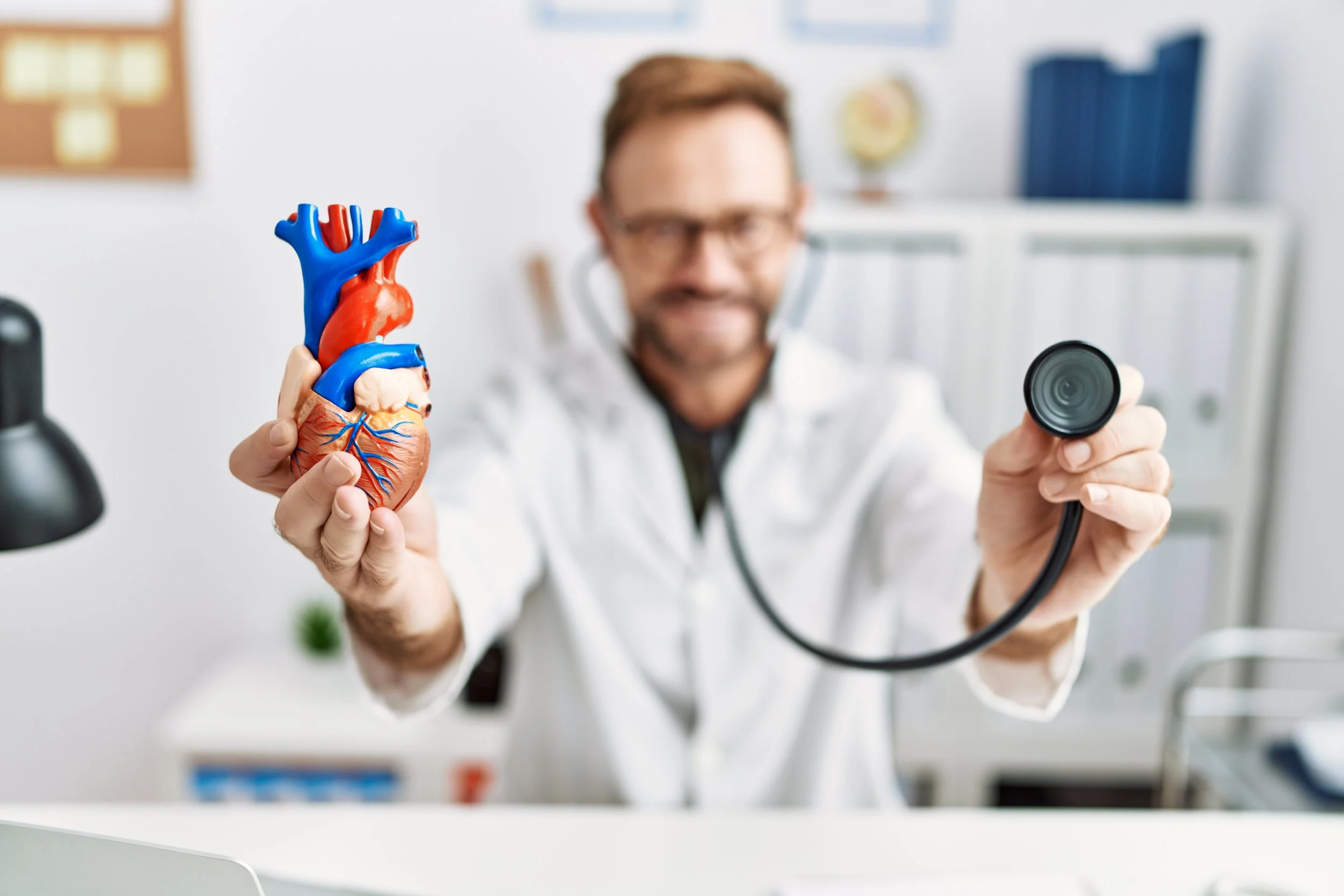 A doctor in a white coat holding a model of a human heart in one hand and a stethoscope in the other, in a medical office.