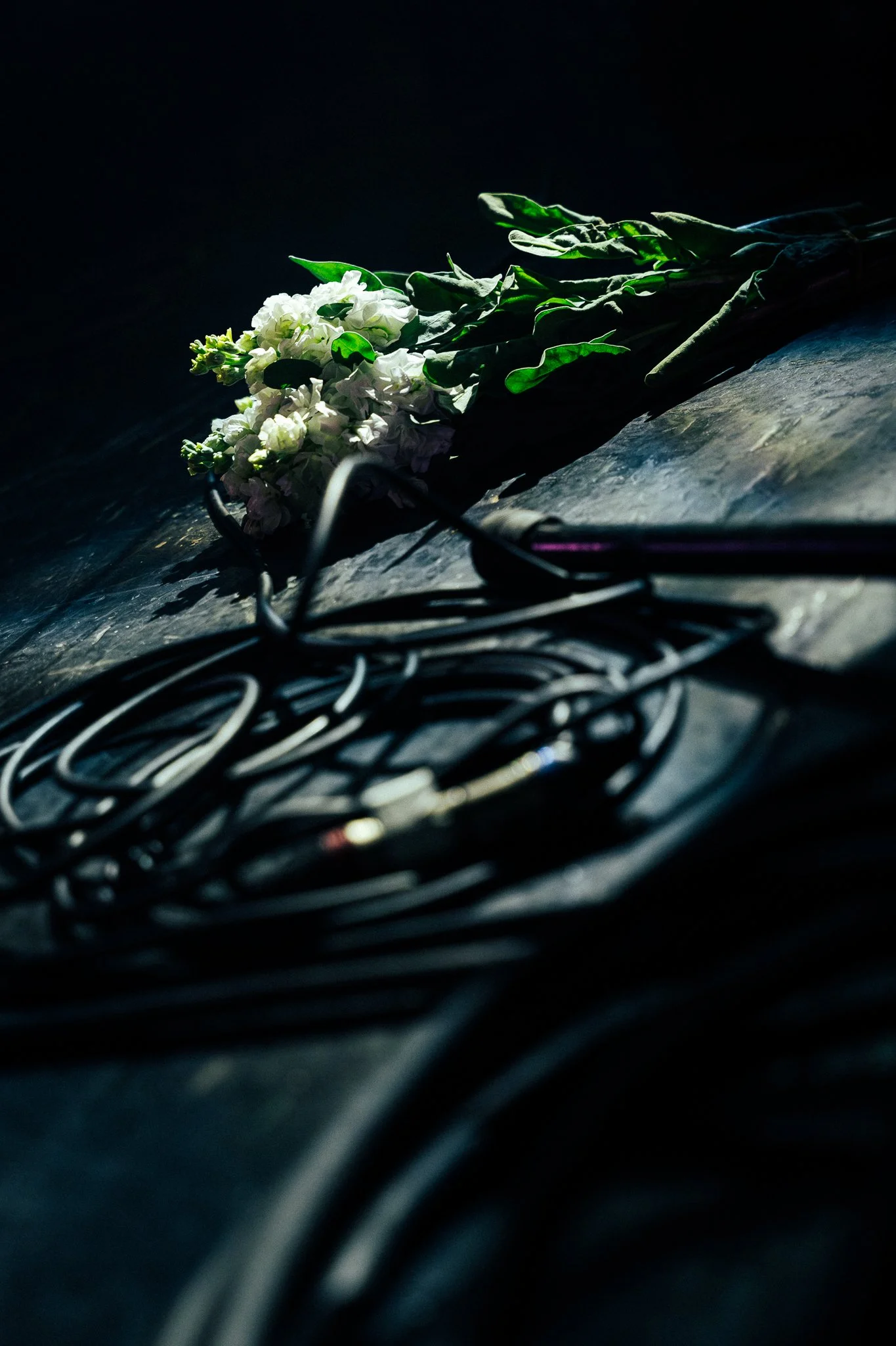 GH_NG-03.jpg
