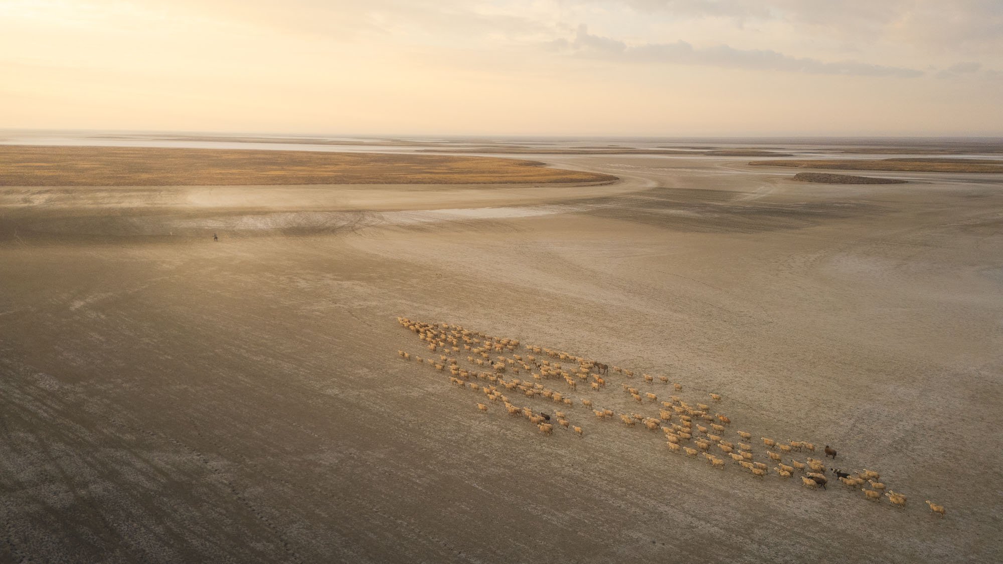 A top-down aerial view of the pink and white salt crusts of Tuz Gölü, Türkiye. The abstract geometric patterns and lack of horizon line create 'Atmospheric Ambiguity,' forcing the brain to exert cognitive effort to resolve the scale.