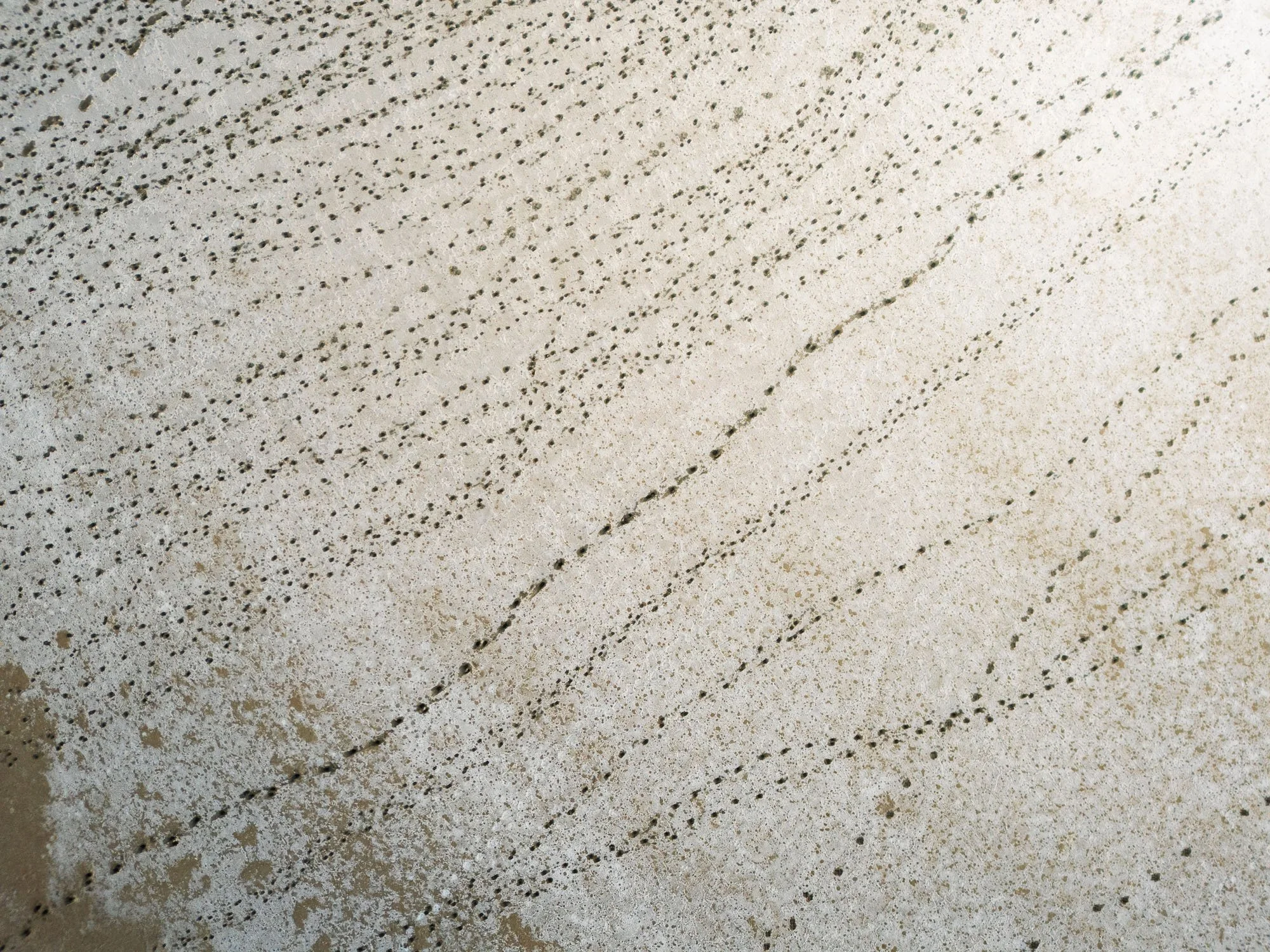An abstract, top-down photograph of thousands of tiny tracks crossing the stark, white surface of Lake Tuz (Tuz Golu) in Turkey, serving as visual breadcrumbs that force the viewer to decode the image