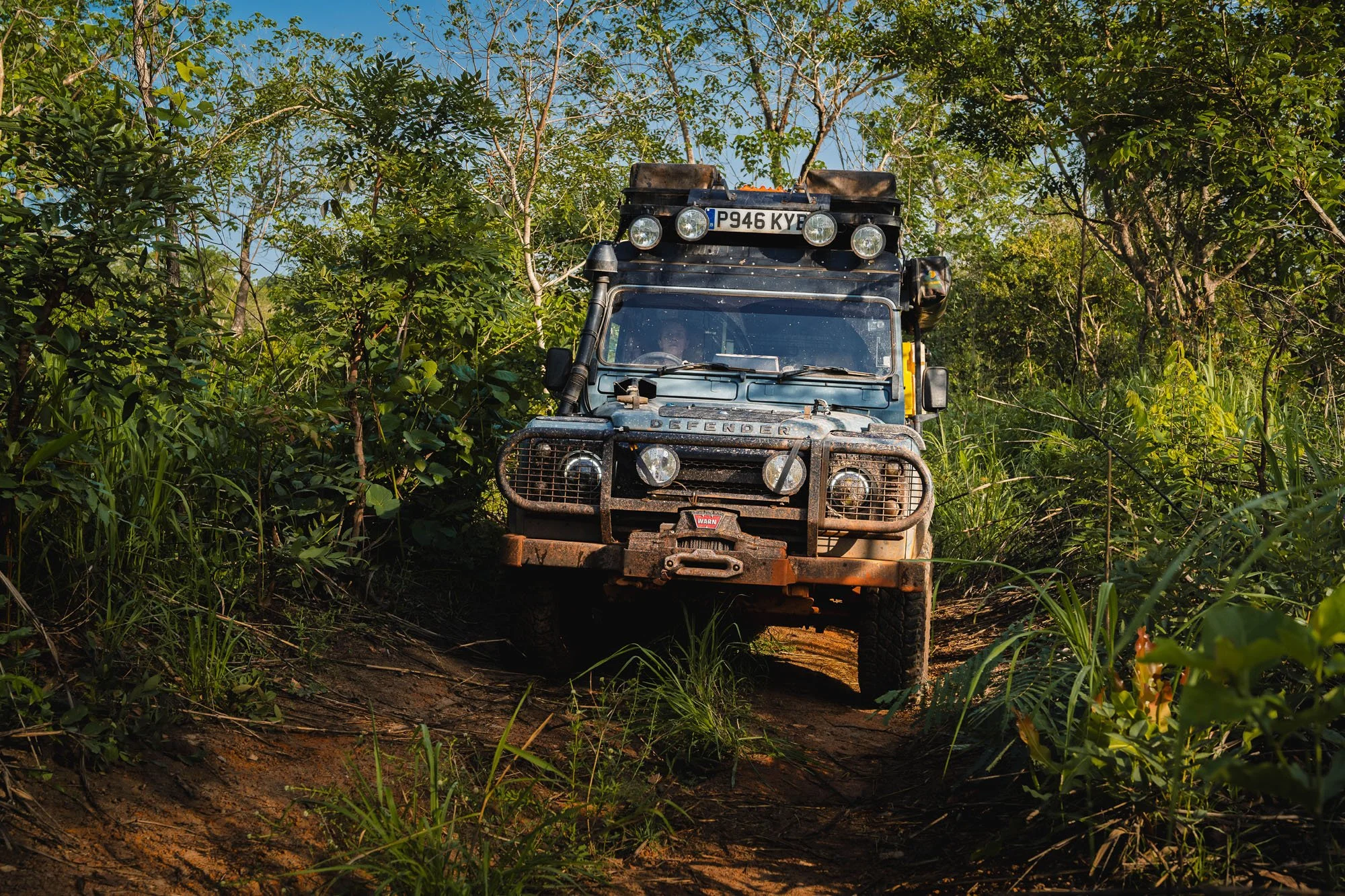 A mud-spattered Land Rover Defender equipped with an expedition roof rack pushing through a dense, overgrown jungle track in Guinea.