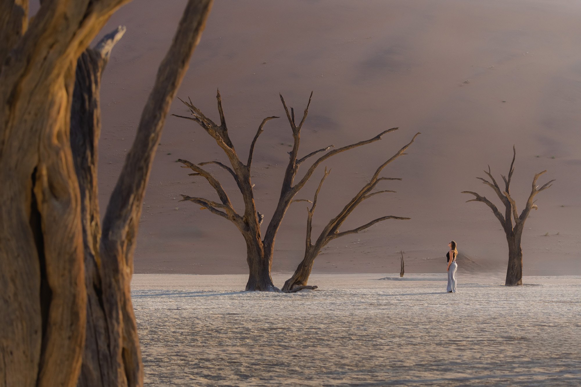 A woman stands among ancient, skeletal camel thorn trees in Deadvlei, Namibia, at sunrise. The surreal juxtaposition and extreme scale create a cognitive prediction error that forces the brain to pause and analyze the image.