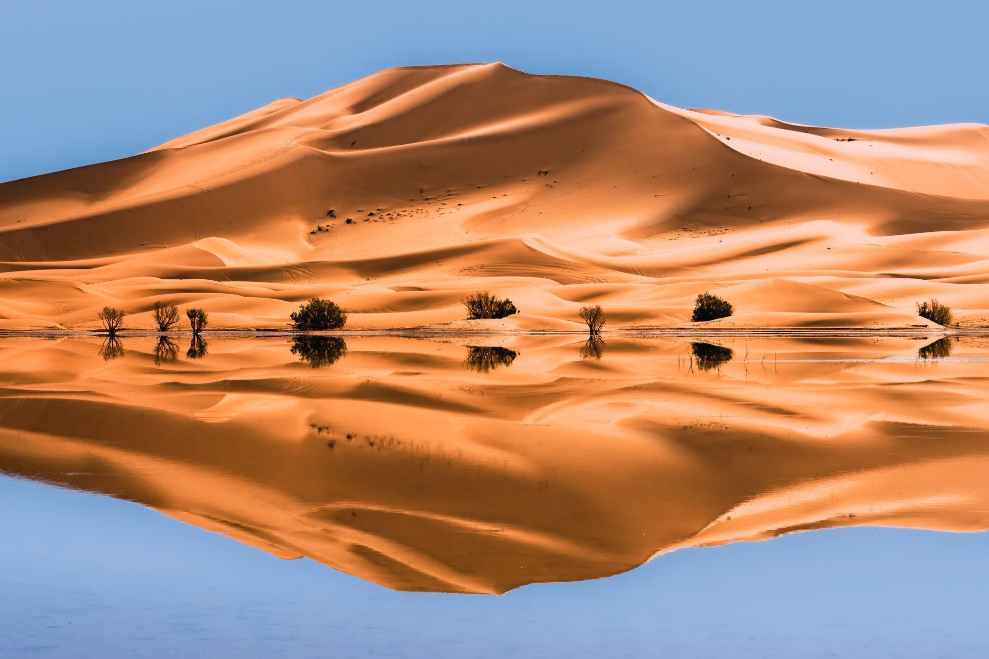 A massive orange sand dune perfectly reflected in a still lake at Merzouga, Morocco. The perfect symmetry and geometric repetition provide a low-cognitive-load viewing experience that holds the eye through balance.