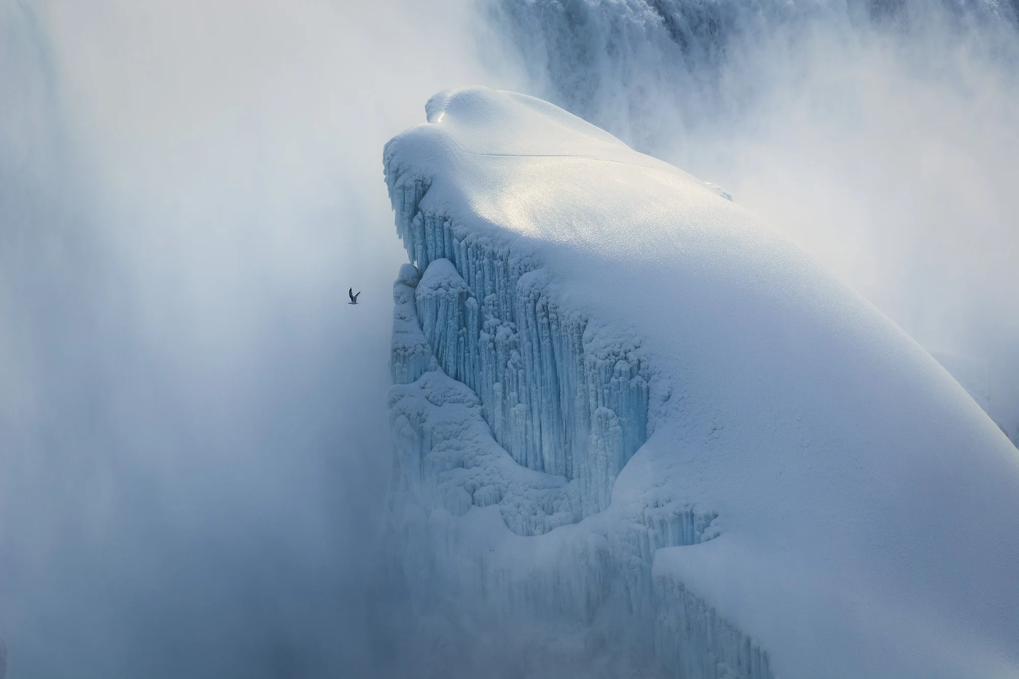 A solitary bird in flight against the massive, frozen ice walls of Niagara Falls. The extreme use of human-scale (via the bird) against the colossal natural structure triggers a psychological response of awe and environmental scale.