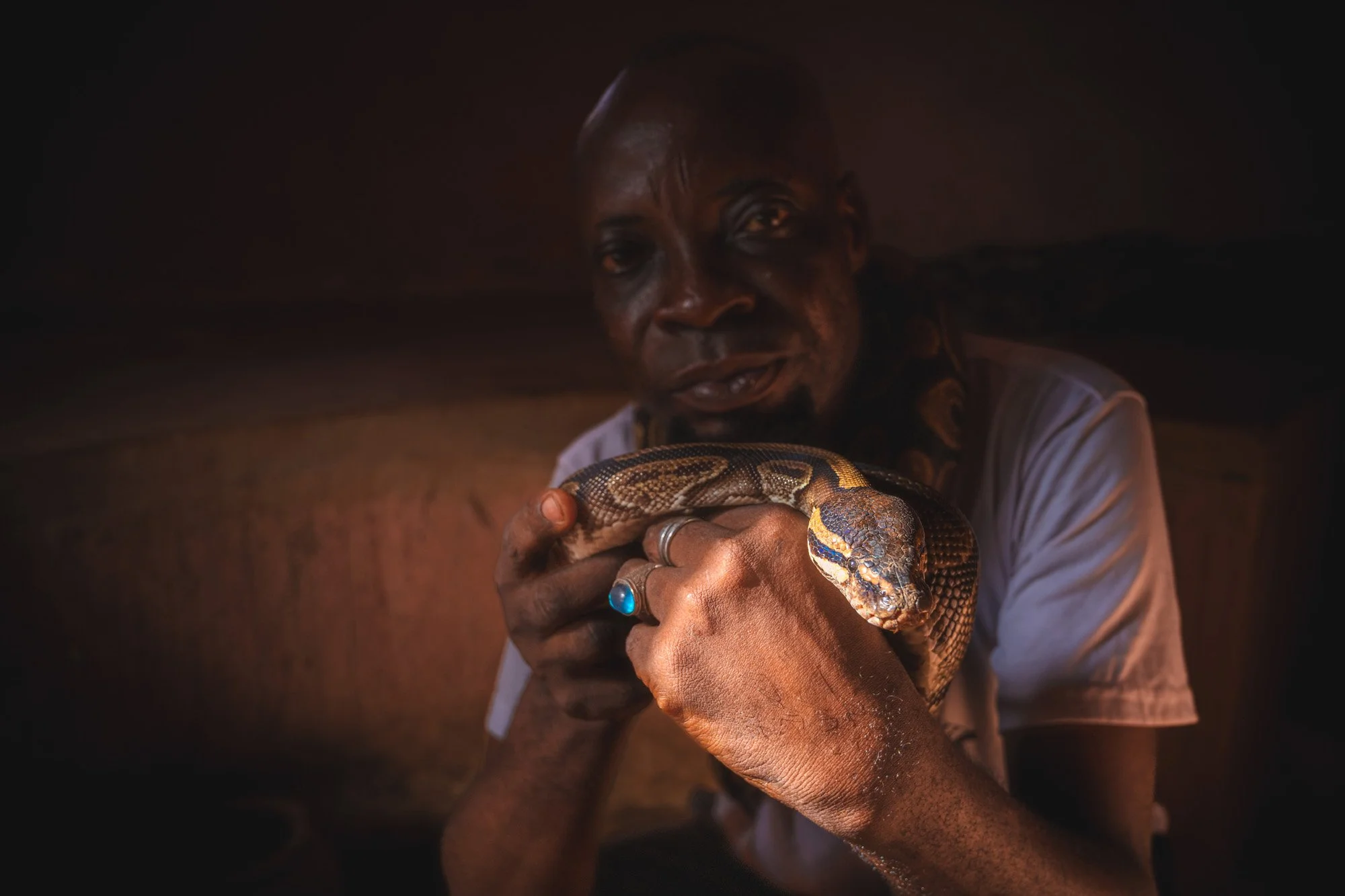 A low-light portrait of a Voodoo snake priest in Ouidah, Benin, holding a python. The inherent physical risk of the snake triggers brain's primal wiring, creating an immediate sense of visual tension and engagement.