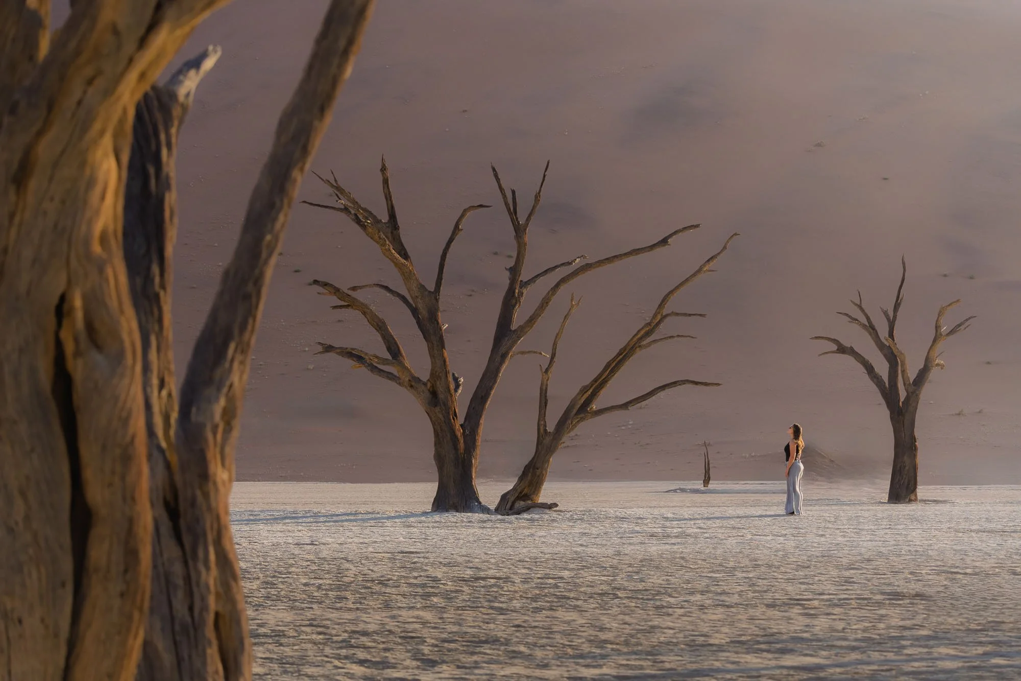 A woman in white stands among ancient skeletal camel thorn trees on the white clay pan of Deadvlei, Namibia, against a towering sunlit sand dune