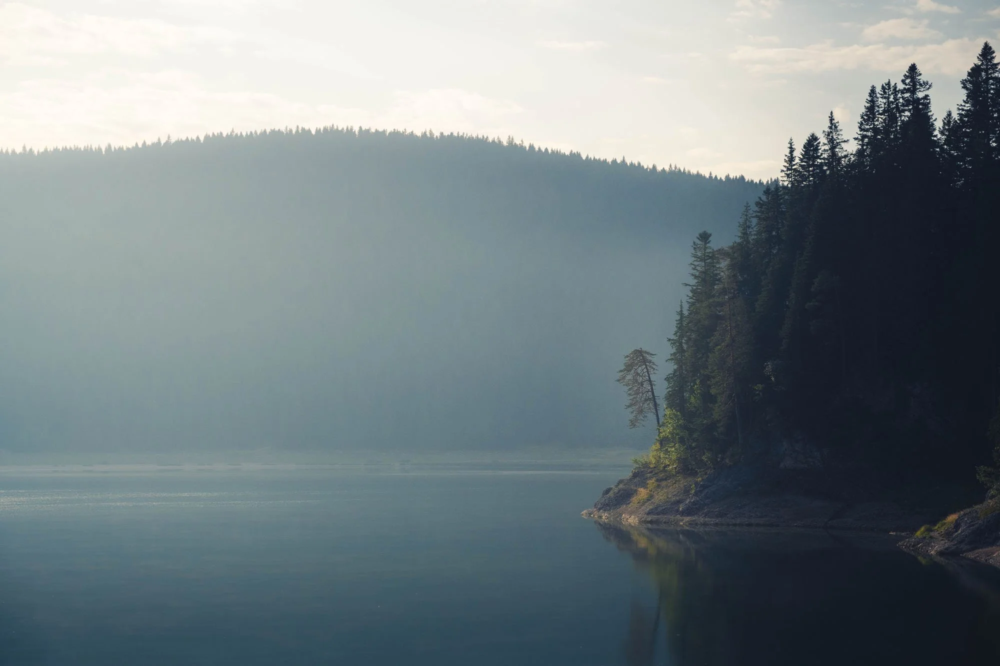 A dark, moody photograph of a foggy shoreline in Montenegro. The heavy mist creates atmospheric ambiguity, prompting the viewer's brain to project its own fears or desires onto the obscured landscape