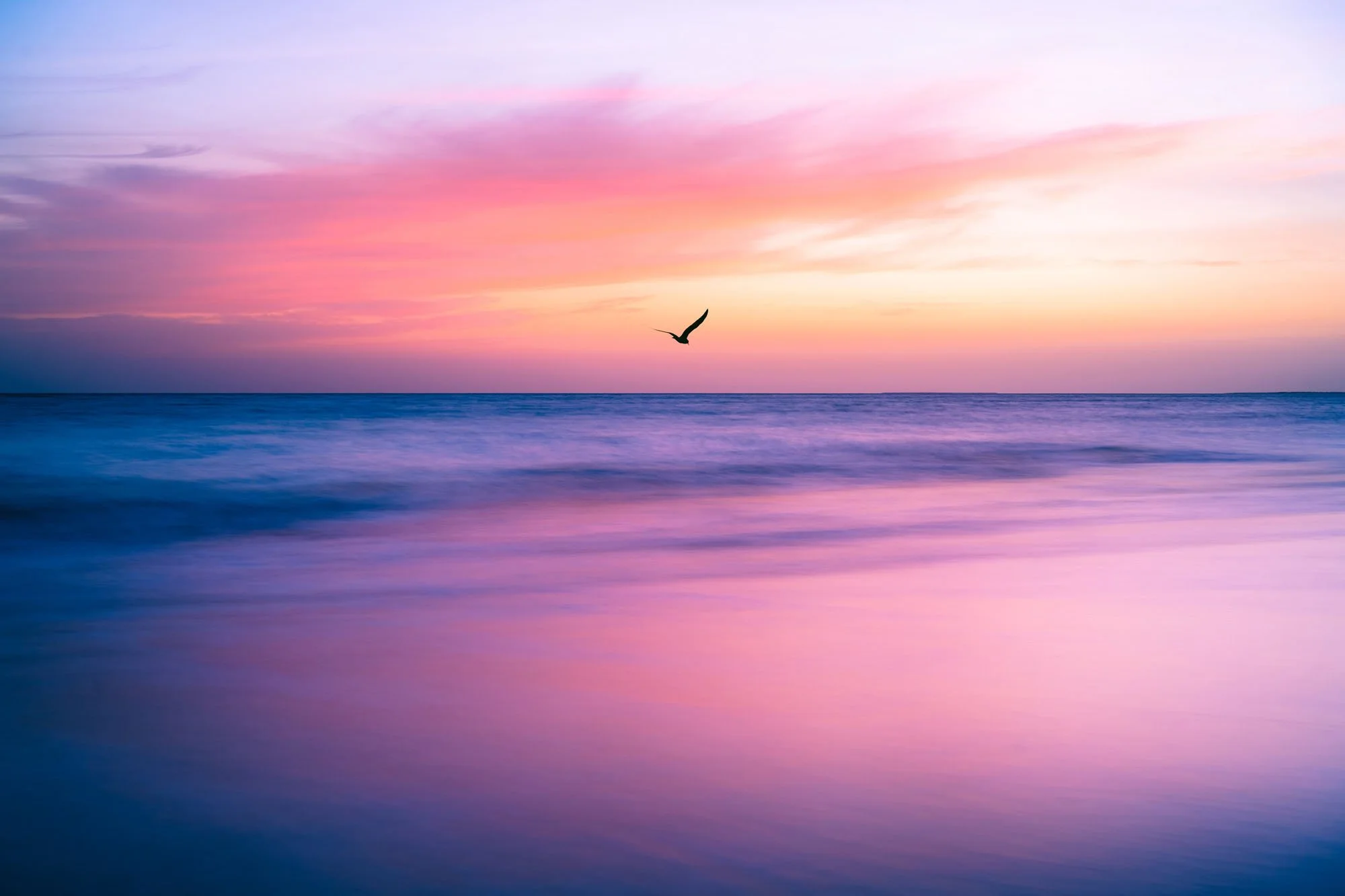A minimalist pink and purple sunset at Varela Beach, Guinea Bissau, with a single bird in flight. The vast negative space and soft colors are designed to trigger a psychological sense of calm and solitude.