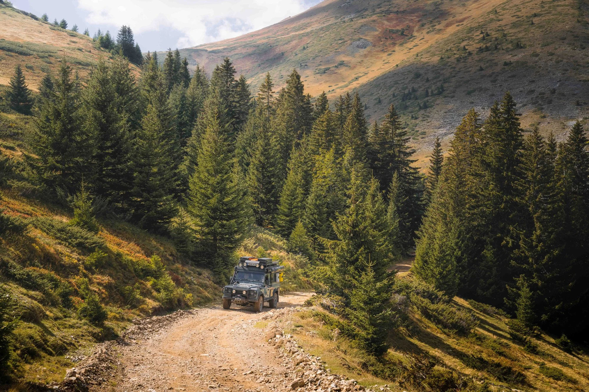 A Land Rover Defender navigating a dirt mountain trail through a dense evergreen forest in Macedonia. The mechanical subject against the vast natural environment establishes strong figure-to-ground contrast and provides clear environmental scale.