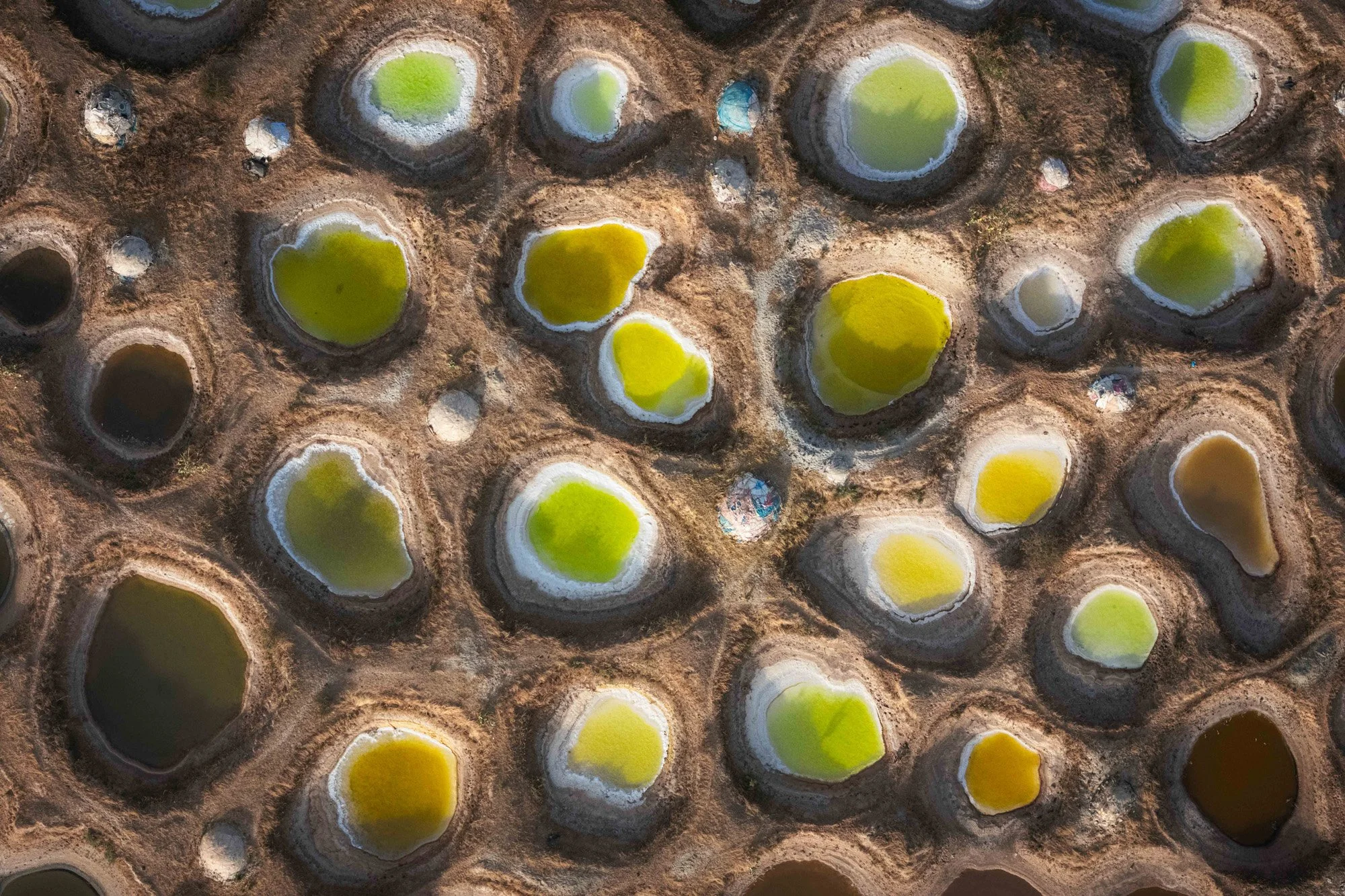 Aerial view of multiple small, round salt evaporation ponds with varying shades of green, yellow, and brown, separated by earthen dikes, with some filled with water and others dry.