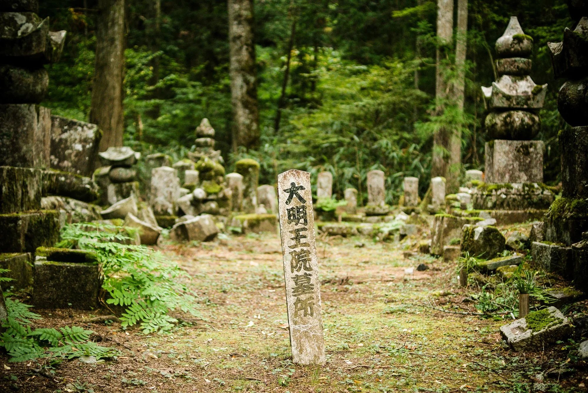 A weathered stone marker with Japanese characters in a forest, surrounded by moss-covered stones and trees.