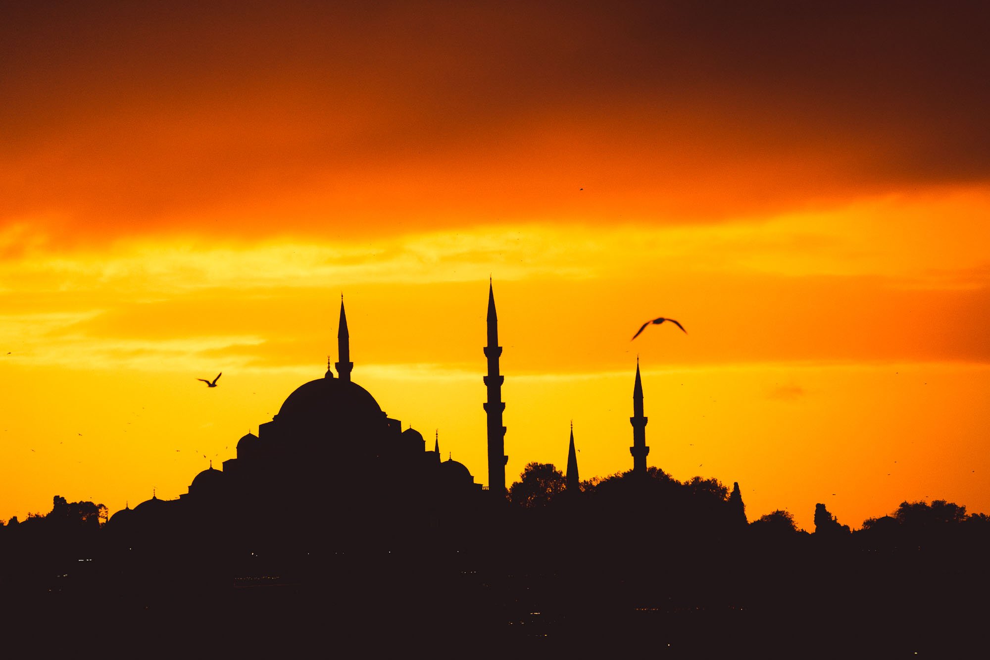 A high-contrast silhouette of a mosque and minarets in Istanbul at sunset, used to illustrate the "Final Signal" and the importance of leaving a visual loop open.