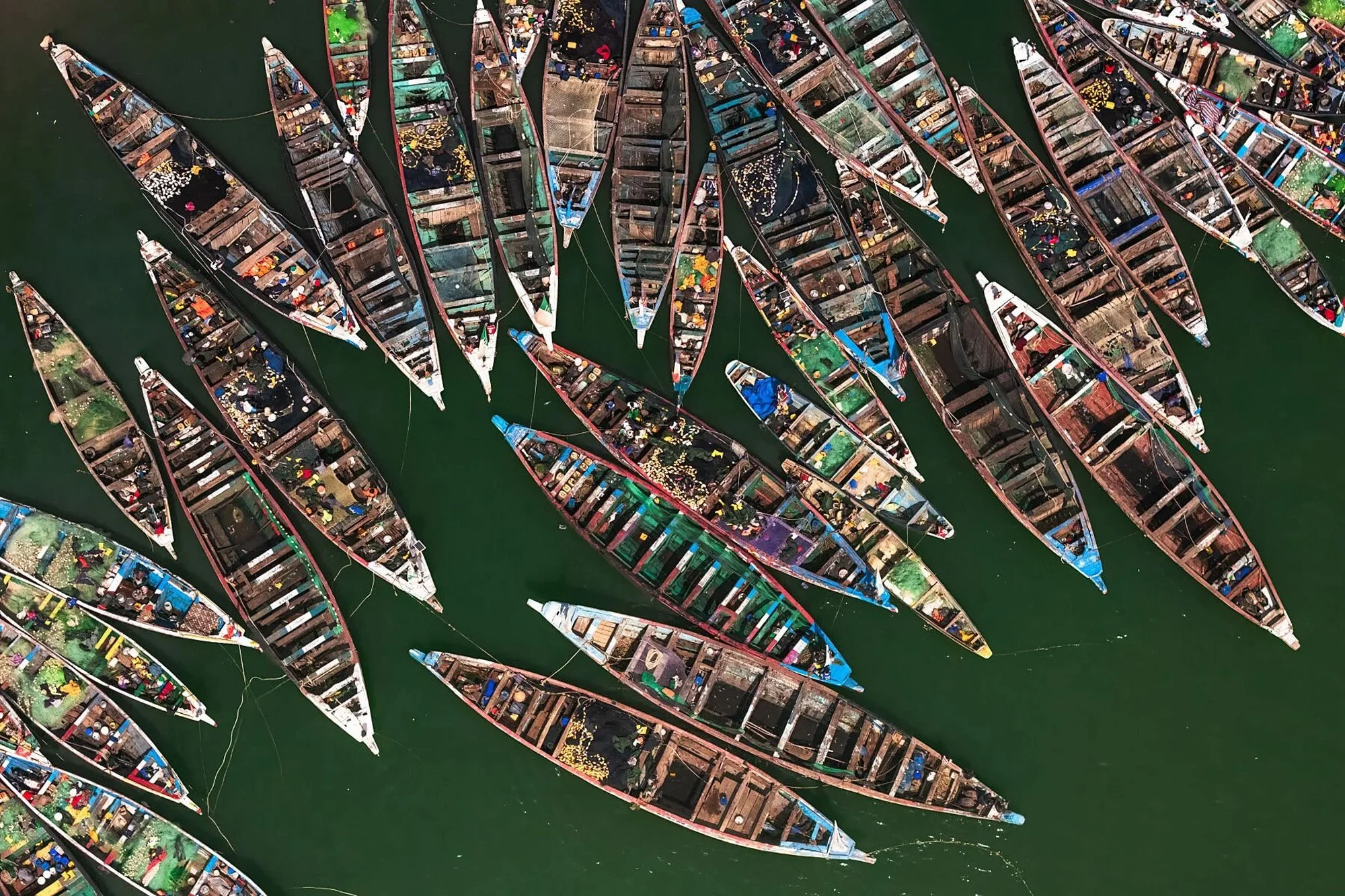 Overhead view of numerous boats clustered together on a green water surface.