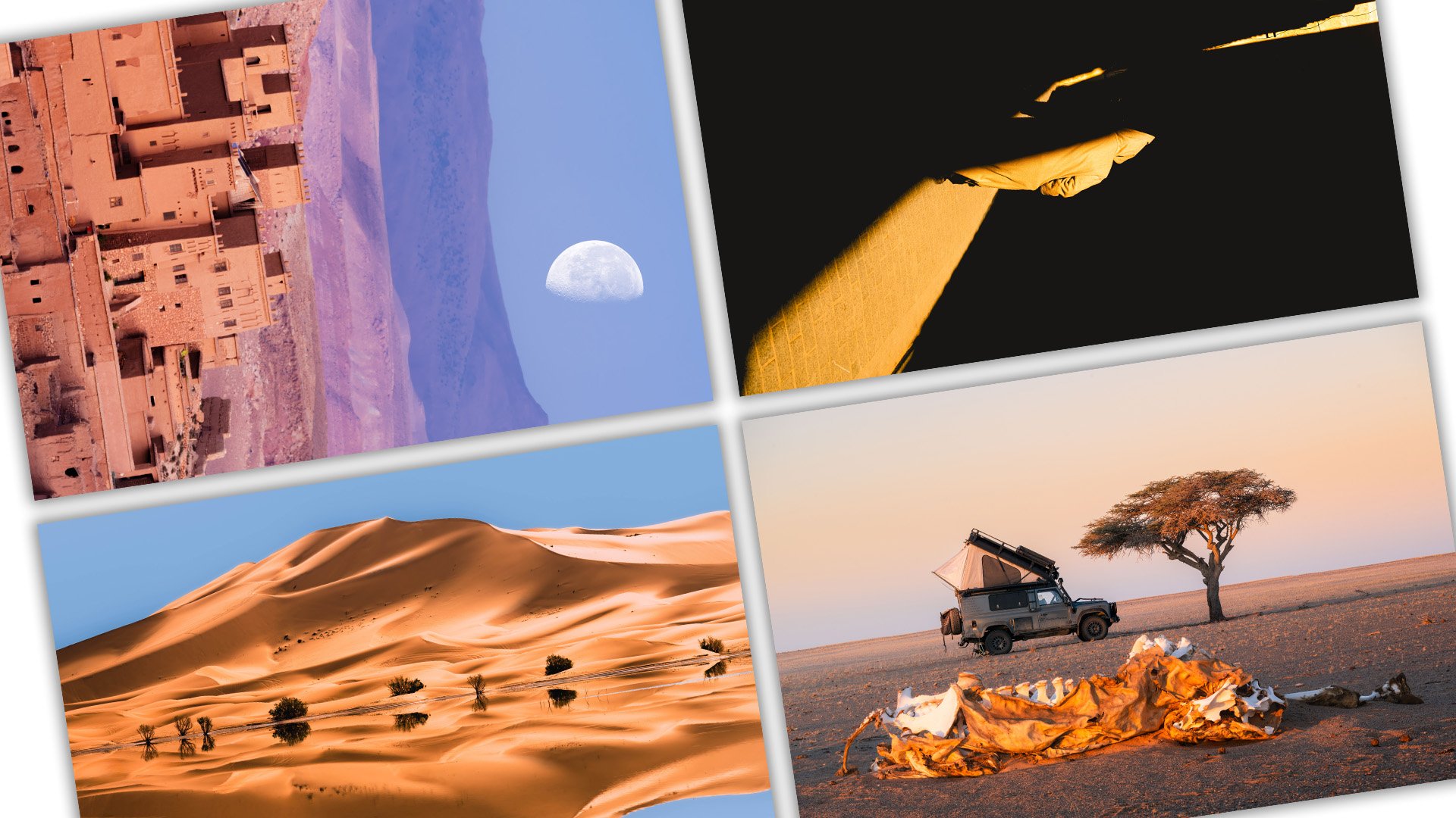 4 posters with shadow.jpg